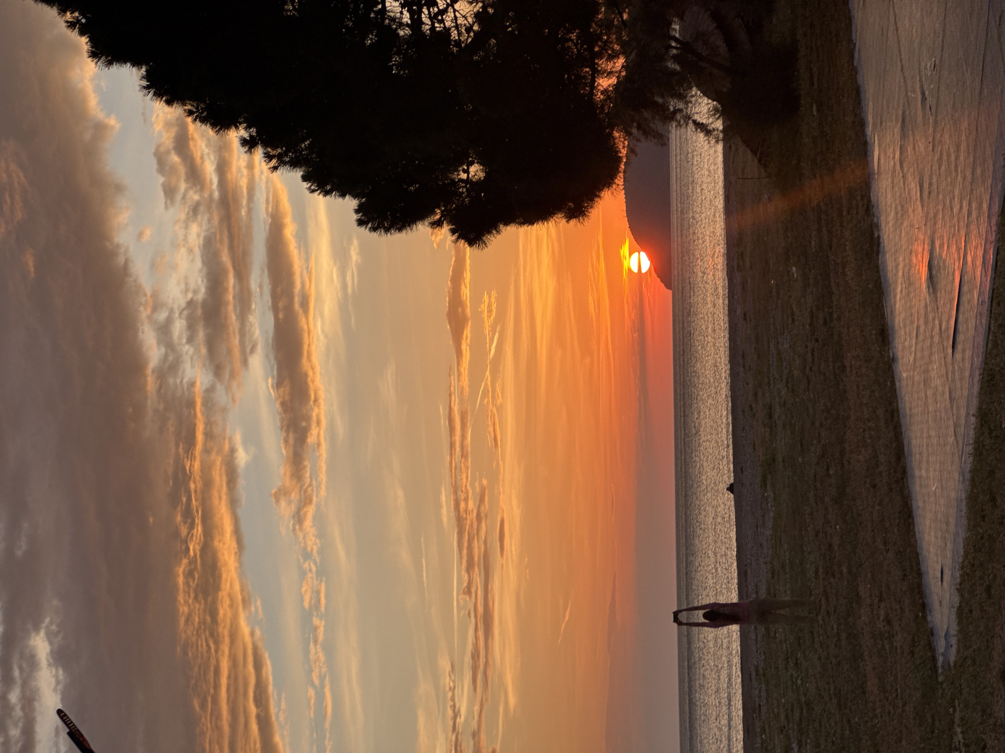 The image depicts a sunset over the Adriatic Sea in Šušanj, Montenegro. The sun is partially obscured by a distant mountain or landmass. Clouds are streaked with orange and yellow hues. A person is on the beach, possibly practicing yoga or stretching. A tree silhouette is visible in the upper left corner, and a paved area or sidewalk runs along the right edge of the frame. A second person is standing near the water.