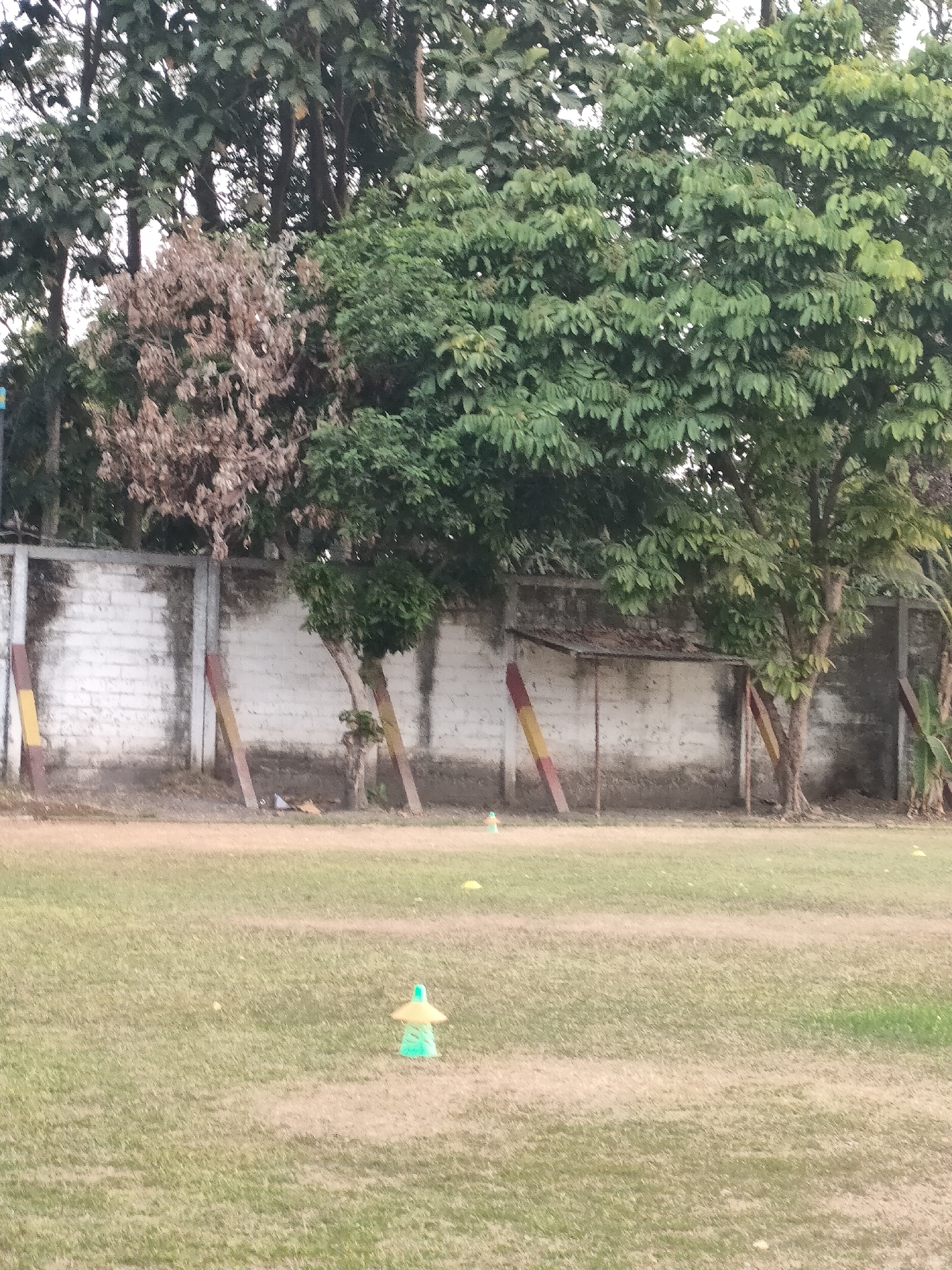 This image captures an outdoor scene in Banguntapan, Indonesia, likely a sports field or park area. In the foreground, a vast expanse of dry, matted grass covers the ground, with scattered patches of greener grass and lighter colored soil indicating pathways or areas of wear. A bright turquoise and yellow cone-shaped marker with a tiered top stands out on the grass, suggesting the area is used for training or games. Further back, several other yellow markers are faintly visible on the field.
Dominating the background is a long, white brick wall, weathered and stained with dark grime in places. Behind the wall, a dense canopy of trees with lush green leaves forms a natural backdrop, interspersed with the bare branches of a dead or dying tree. Several wooden posts, some painted with red and yellow stripes, are propped against the wall, possibly for support or as part of a fence. The overall impression is one of a functional outdoor space, somewhat neglected, within a tropical or subtropical environment.