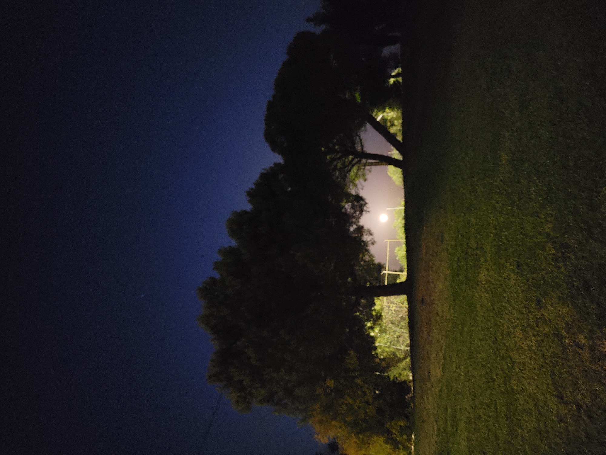 The image depicts a nighttime scene in Quarteira, Portugal, featuring a grassy park area with several silhouetted trees. The sky above is a deep navy blue, with a faint point of light, possibly a star or distant aircraft, visible in the upper center. A streetlamp is illuminated in the background, casting a soft glow through the foliage of the trees. The foreground is dominated by a manicured lawn, with the dark silhouettes of trees and a fence line creating a distinct contrast. There are no people or animals visible in the frame. The overall atmosphere is tranquil and serene, characteristic of a quiet evening in a park.