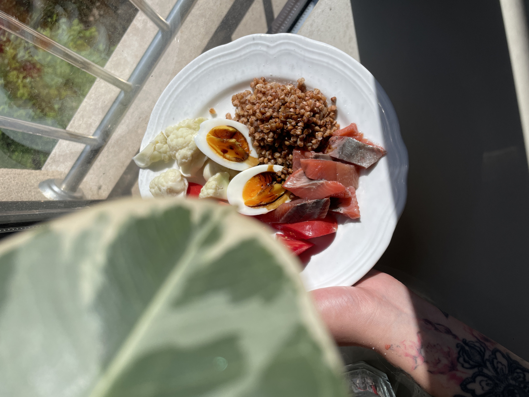 A top-down view shows a white plate held in a person's hand, containing a variety of foods arranged as follows: Cauliflower florets are positioned on the left side of the plate, adjacent to which lie two halved boiled eggs, glistening with a dark sauce. Cooked buckwheat occupies the space in the top center of the plate. Slices of fish and tomato segments are grouped on the right side of the plate.
The person holding the plate has a visible tattoo on their forearm. The plate is situated in a location where sunlight casts distinct shadows. In the background, a barred window obscures the view of greenery outside.
Although not explicitly stated in the image, it is unlikely that the location of the image is in Boreti, Montenegro. There is no reference point to identify the location of the image in this particular city.