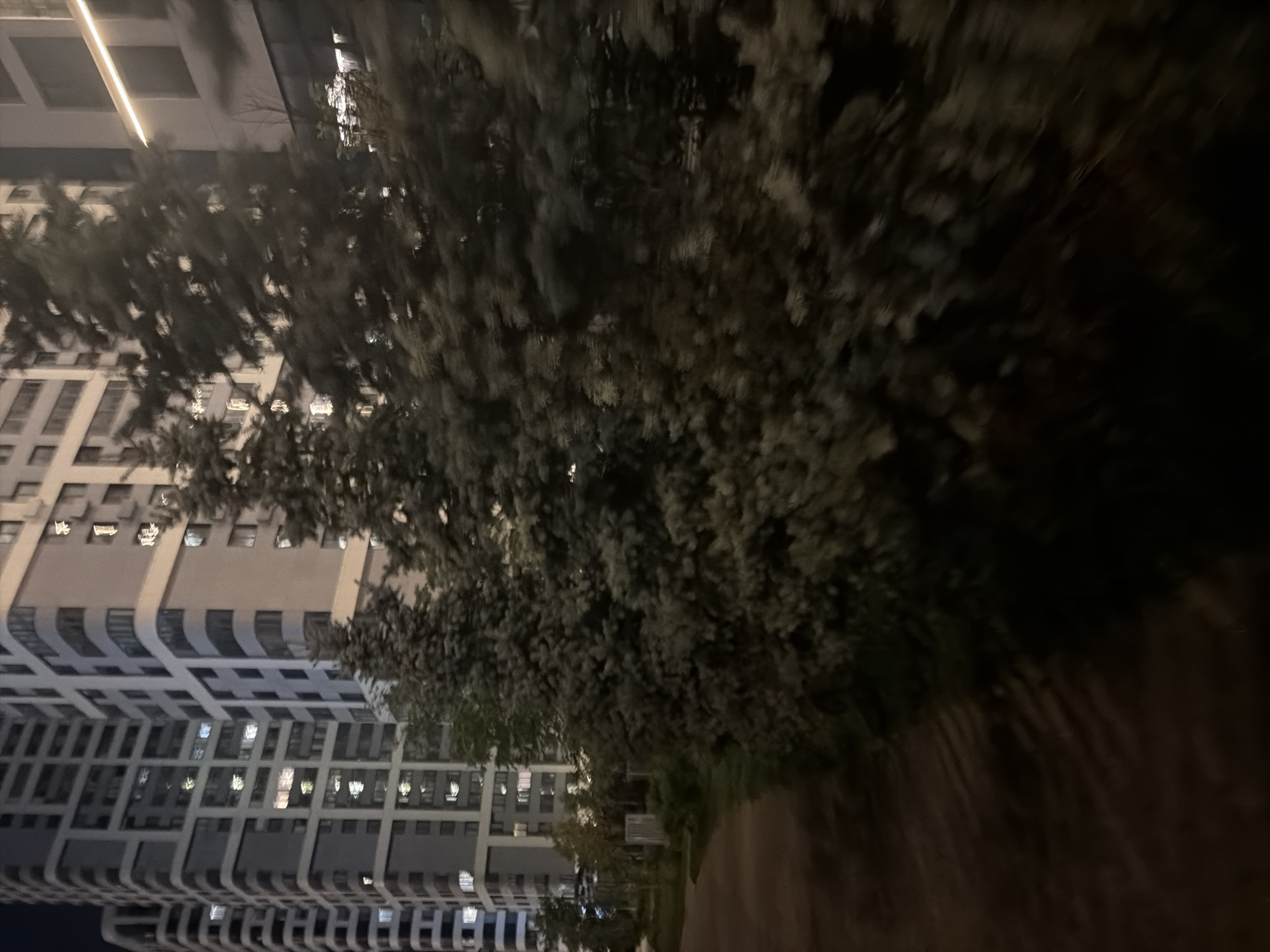 The image depicts a nighttime view of a residential complex in Moscow, Russia. The scene is dominated by tall, modern apartment buildings with illuminated windows, suggesting occupancy. In the foreground, several evergreen trees, possibly fir or spruce, are visible, their foliage blurred due to motion or low light conditions. A pathway or road runs along the left side of the image, casting long shadows. The overall impression is one of an urban environment at rest, with the apartment buildings representing a densely populated residential area and the trees adding a touch of nature to the cityscape.