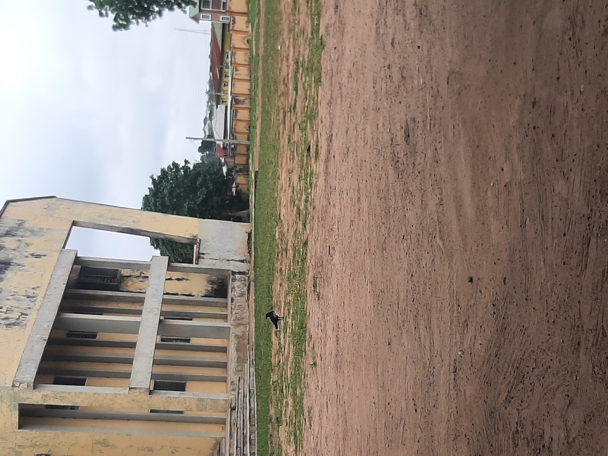 A bird stands on the grassy area in front of a faded yellow building, possibly an educational institution, in Ogbomosho, Nigeria. The building has an architectural style featuring vertical concrete columns and horizontal beams, with some signs of wear and tear. Beyond the building and grassy area, there is a tan-colored wall, behind which lie houses with red and green roofs. The sky is overcast. The foreground is a dirt path, indicating an outdoor, likely urban or semi-urban, environment.