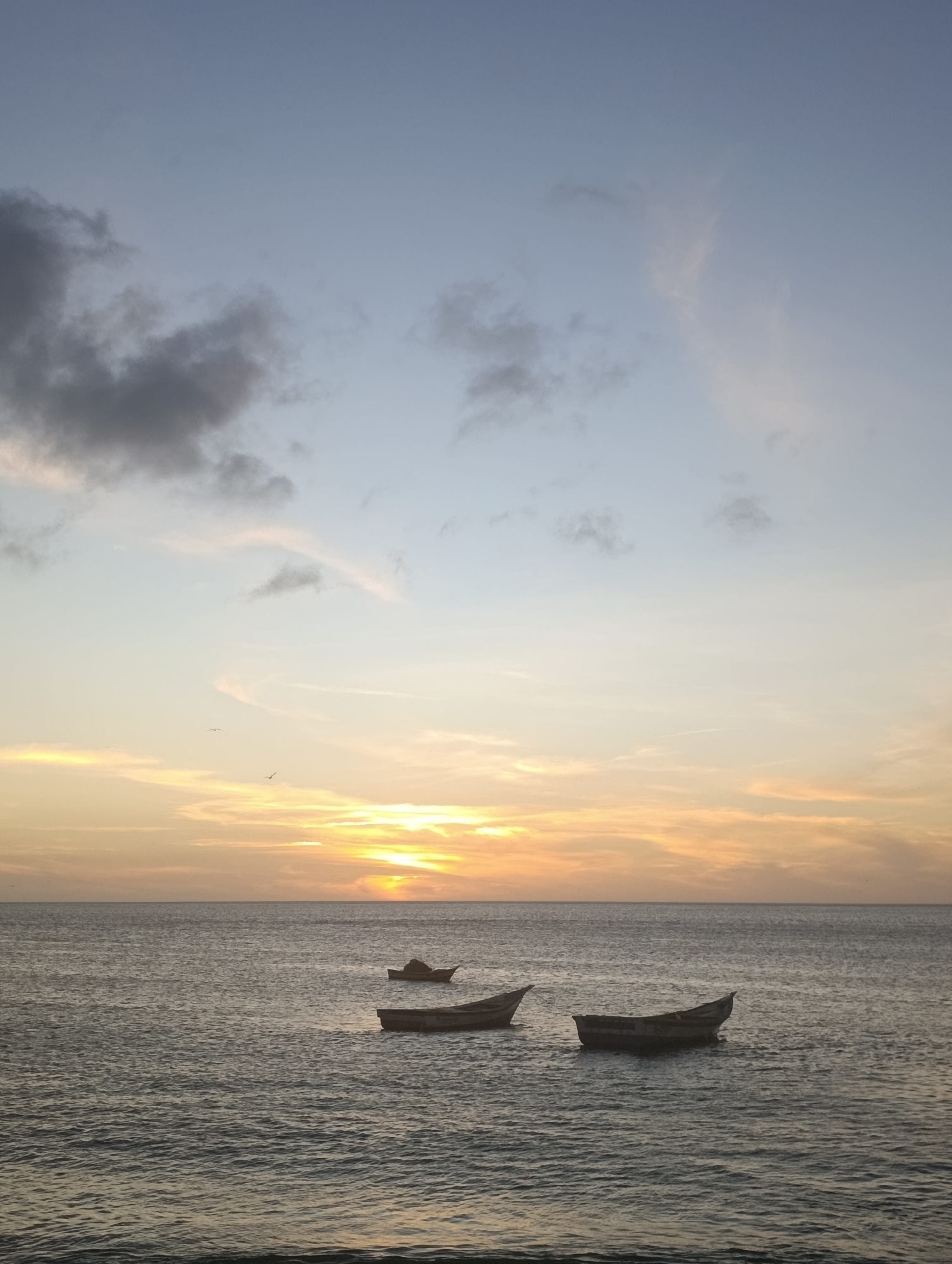 The image presents a serene seascape captured during either sunset or sunrise, with the horizon dividing the sky and the ocean. The upper part of the sky is a soft, pale blue-grey, gradually transitioning to warm hues of orange, yellow, and pink closer to the horizon where the sun's golden glow is prominent. Scattered clouds of various densities are visible; some are dark grey, while others are wispy and illuminated by the low sun. A few small birds can be faintly seen soaring in the lighter part of the sky.
Below the horizon, the sea stretches out, appearing calm with gentle ripples across its dark, reflective surface. Three small, rustic wooden boats are floating on the water, seemingly stationary. Two boats are in the foreground, positioned towards the right and center-left, appearing well-used. A third, smaller boat is further in the background, closer to the horizon on the left. The boats are empty, suggesting a moment of quiet repose.
The overall scene conveys a sense of tranquility and natural beauty, characteristic of a coastal setting like Juan Griego, Venezuela, as the day transitions from light to dark or vice versa. There is no human activity or visible text in the image.