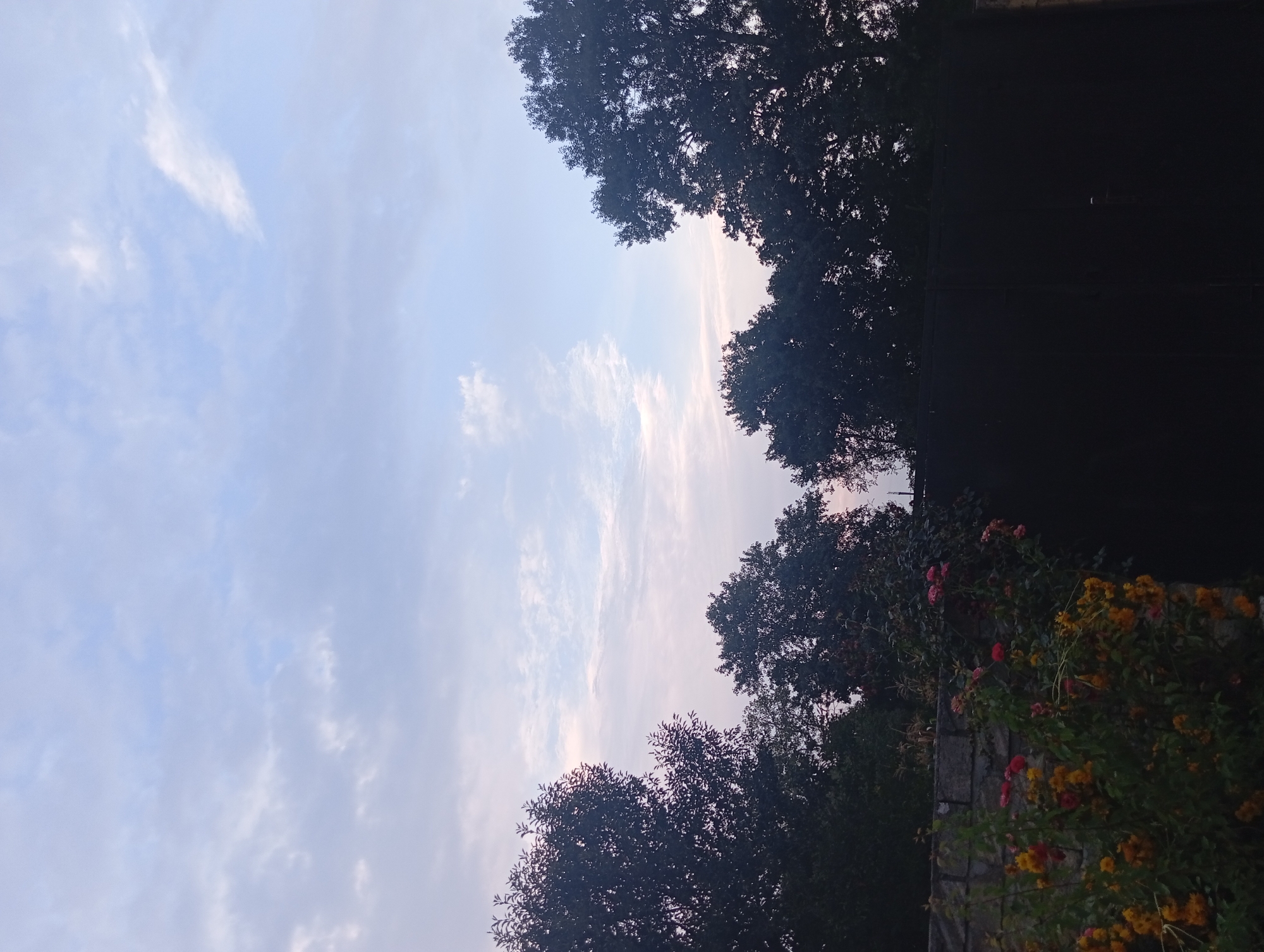 This image depicts a dusky sky with scattered clouds over a silhouetted treeline. In the foreground, a stone wall is partially visible, adorned with flowering bushes bearing yellow and red blooms. Beyond the wall, a dark, solid fence or gate runs horizontally across the lower portion of the frame. The scene appears to be an outdoor setting, likely a garden or yard, in the city of Şirvanlı, Azerbaijan. No people or actions are discernable.