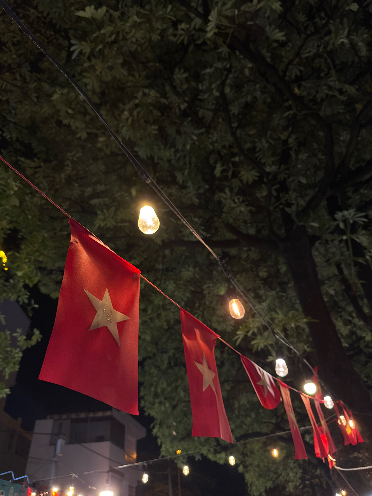 This is a medium shot photograph taken at night of a string of Vietnamese flags and lights hung across a street or outdoor area in Nha Trang, Vietnam. The flags are red with a yellow star, and they are strung on thin red and black wires. Several incandescent bulbs are also strung along the wires, providing warm, yellow light. In the background, the dark silhouette of a large tree with dense foliage dominates the upper portion of the frame. Below the tree and flags, glimpses of buildings and more string lights can be seen, suggesting an urban setting. The overall atmosphere is festive and slightly mysterious due to the nighttime lighting. There are no people or discernible actions depicted in the image.