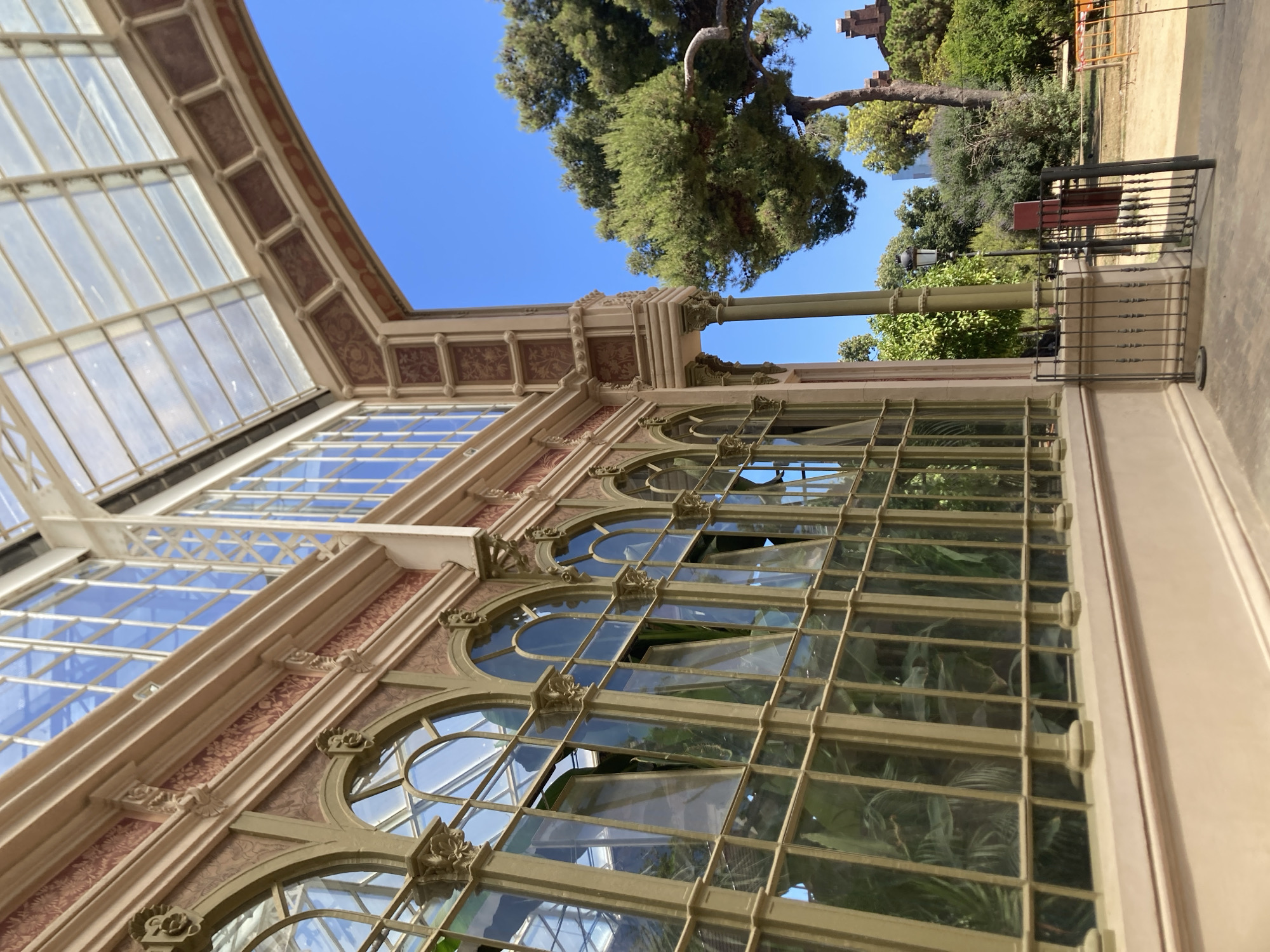 The image shows the exterior of a greenhouse with a distinctive architectural style, likely the Greenhouse of the Noble Art of the Wool Guild (La Llotja del Mar) in Barcelona, Spain. The greenhouse features a light-colored structure with large, arched windows framed in green metal. The windows are divided into multiple panes, and some are open, revealing lush greenery inside, suggesting a botanical garden or conservatory.
The building's facade is adorned with decorative elements, including patterned wallpaper-like sections in reddish-brown and cream, as well as ornate carvings above the windows. A white, lattice-like roof structure is visible, allowing natural light to filter in.
To the right of the greenhouse, a bright blue sky is visible, partially obscured by a large, mature pine tree with a gnarled trunk and dense green foliage. Beyond the tree, other trees and shrubs are present, along with a lamppost and a black metal fence. In the background, hints of other structures and the urban environment can be seen. The overall scene suggests a sunny day in an outdoor setting, possibly a park or garden area within the city.