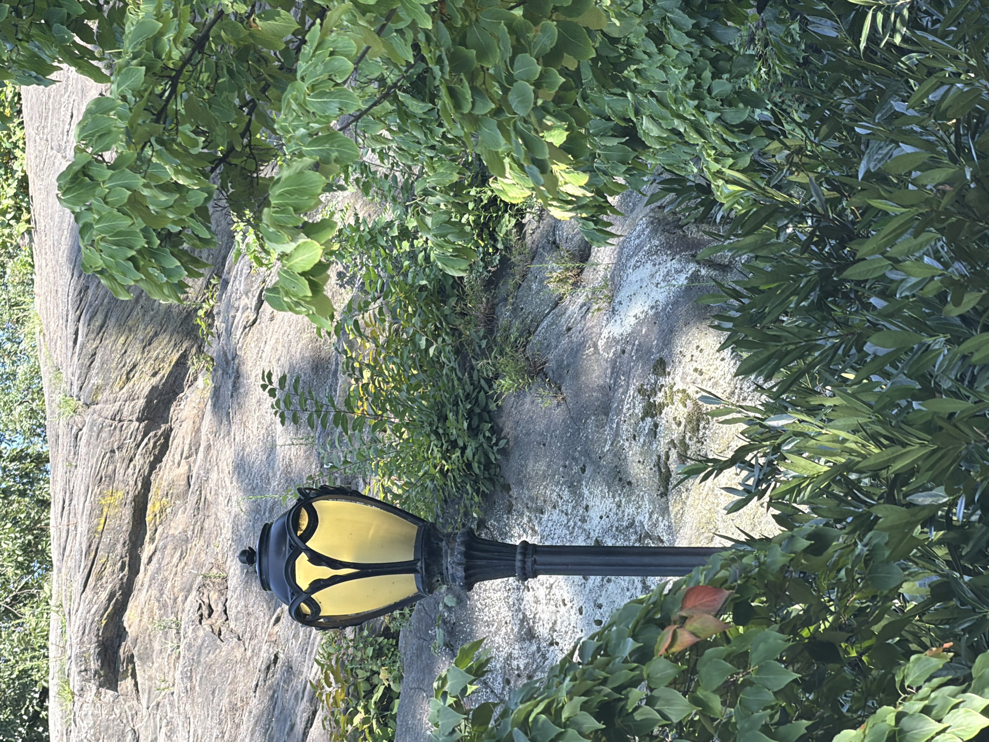 A black, ornate lamppost with a yellow, glass lantern stands in the foreground, partially obscured by lush green foliage. The lamppost is positioned against a backdrop of a large, grey rock formation, weathered and textured, with sparse green vegetation growing from its crevices. Sunlight dapples the scene, highlighting the leaves and the rock. The environment suggests an outdoor, natural setting within a city, likely a park. The image does not contain any people or visible actions. The location is an outdoor park in New York City, USA.