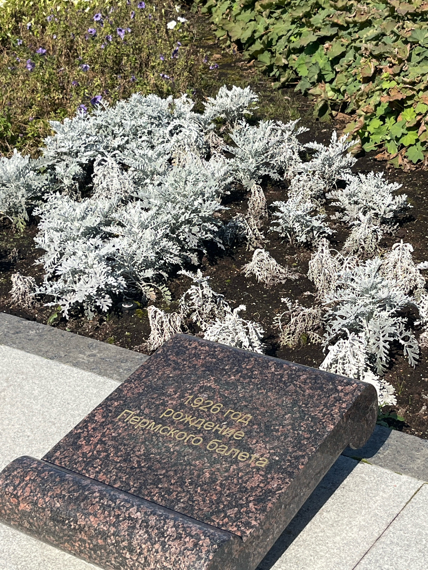 The image shows a close-up of a granite memorial stone with text engraved on it. The stone is placed on a light-colored paved surface, in front of a garden bed containing silvery-grey plants and some green foliage. The engraved text on the stone is in gold and reads "1926 год рождение Пермского балета", which translates to "1926 Year of the birth of the Perm Ballet". The memorial is outdoors, with sunlight casting shadows, suggesting it is daytime. The background shows a mix of flowers and other vegetation, indicating a park or memorial site.