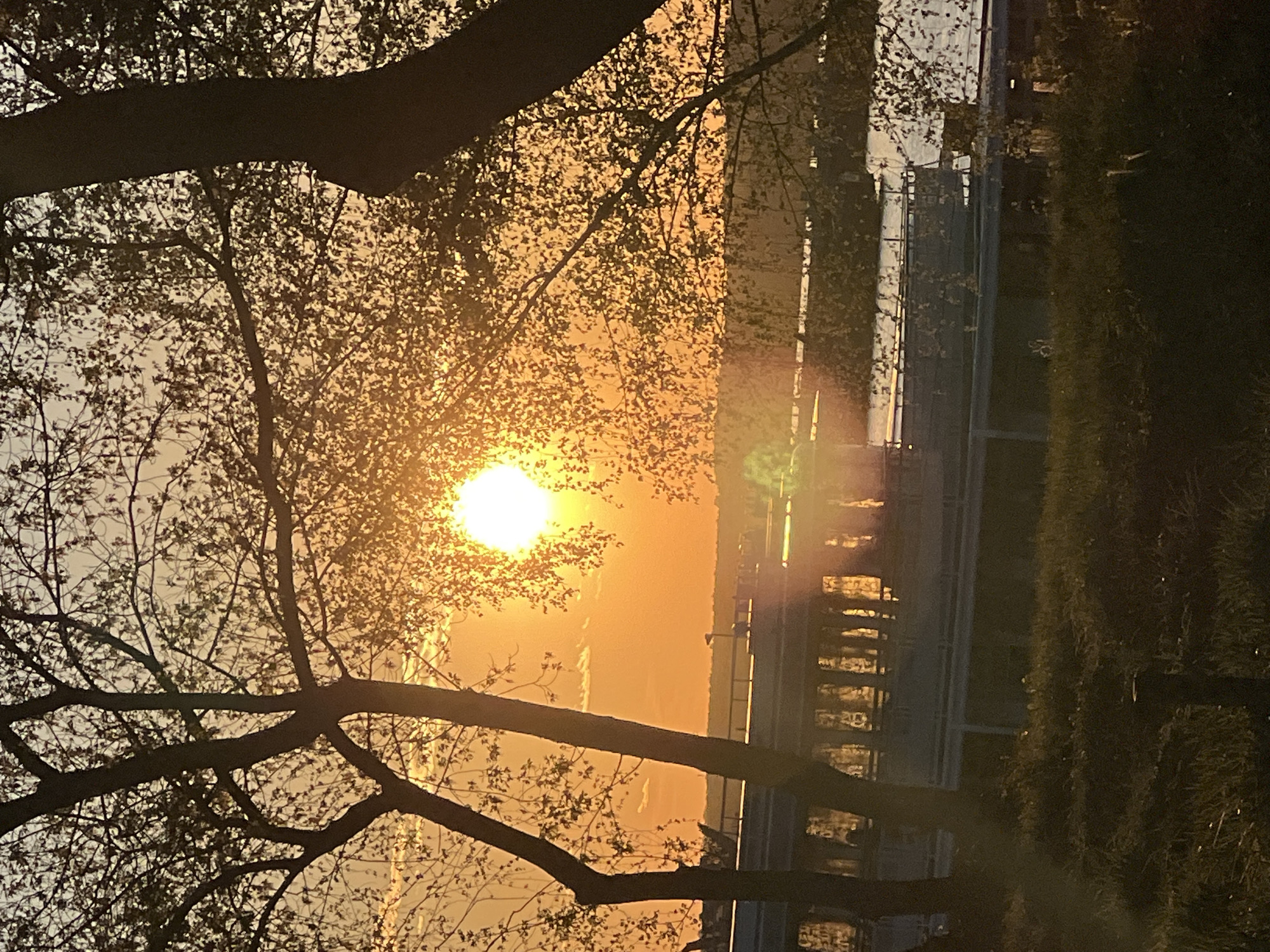 The image is a low-angle, outdoor shot of a sunset in Chaikovsky, Russia. The sun is positioned in the upper left quadrant of the frame, partially obscured by tree branches with small leaves. The branches are dark against the bright orange sky. The sun is causing a lens flare extending to the right. Reflections of lights and structures are visible in what appears to be a body of water. A bridge or elevated structure is situated on the right side of the image. There are no discernible people or actions taking place. The focus is on the landscape at sunset.