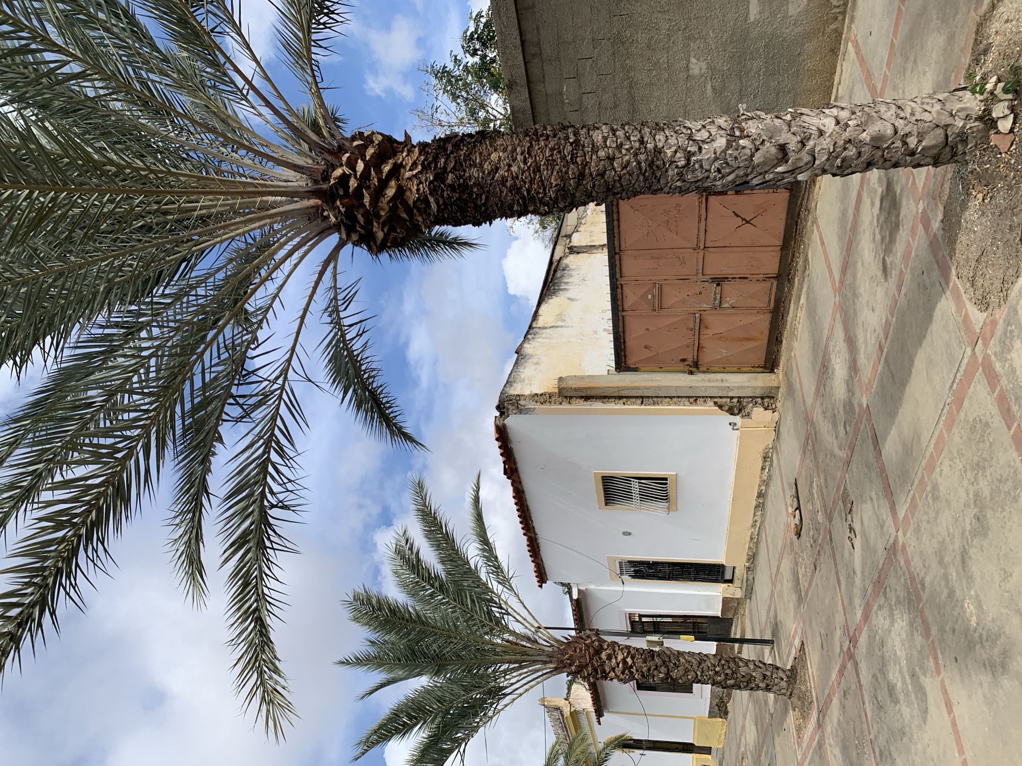 The image shows a street scene in Santa Ana, Venezuela. Two palm trees frame the view, with a white building in the background. The building has a reddish-orange tiled roof and a rusted orange double door. The building is set on a tiled street, with a light gray brick wall visible behind the building. The sky is blue with scattered white clouds.