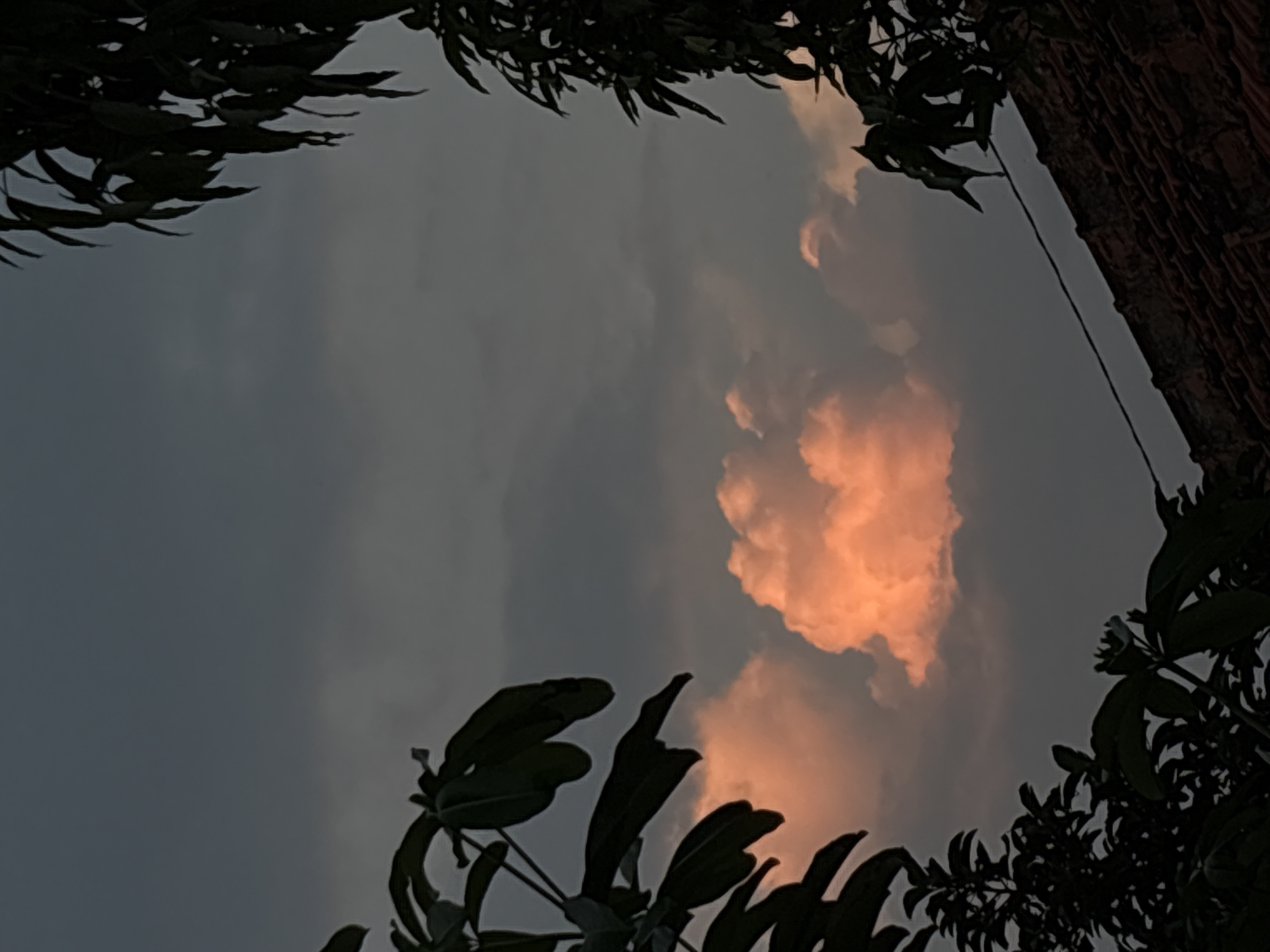 The image shows a view of the sky in Gadingrejo, Indonesia, framed by trees and a structure. A single, fluffy cloud is illuminated with orange light, contrasting with the darker gray overcast sky. Silhouetted leaves frame the top and bottom of the shot, while the edge of a building, possibly brick, is visible on the right. A single, thin wire runs alongside the building.