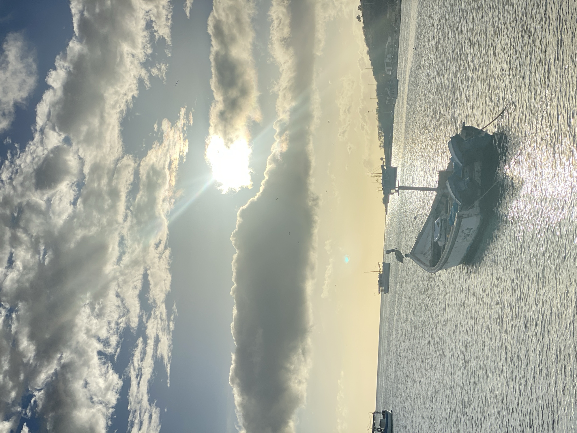 The image depicts a coastal scene in Juan Griego, Venezuela, featuring a boat in the water with a pelican perched on its bow. The sky is filled with clouds, and the sun is visible, creating a bright, shimmering effect on the water's surface. In the background, there are additional boats and the coastline of Juan Griego. The image is taken from a slightly low angle, capturing a wide view of the bay area.