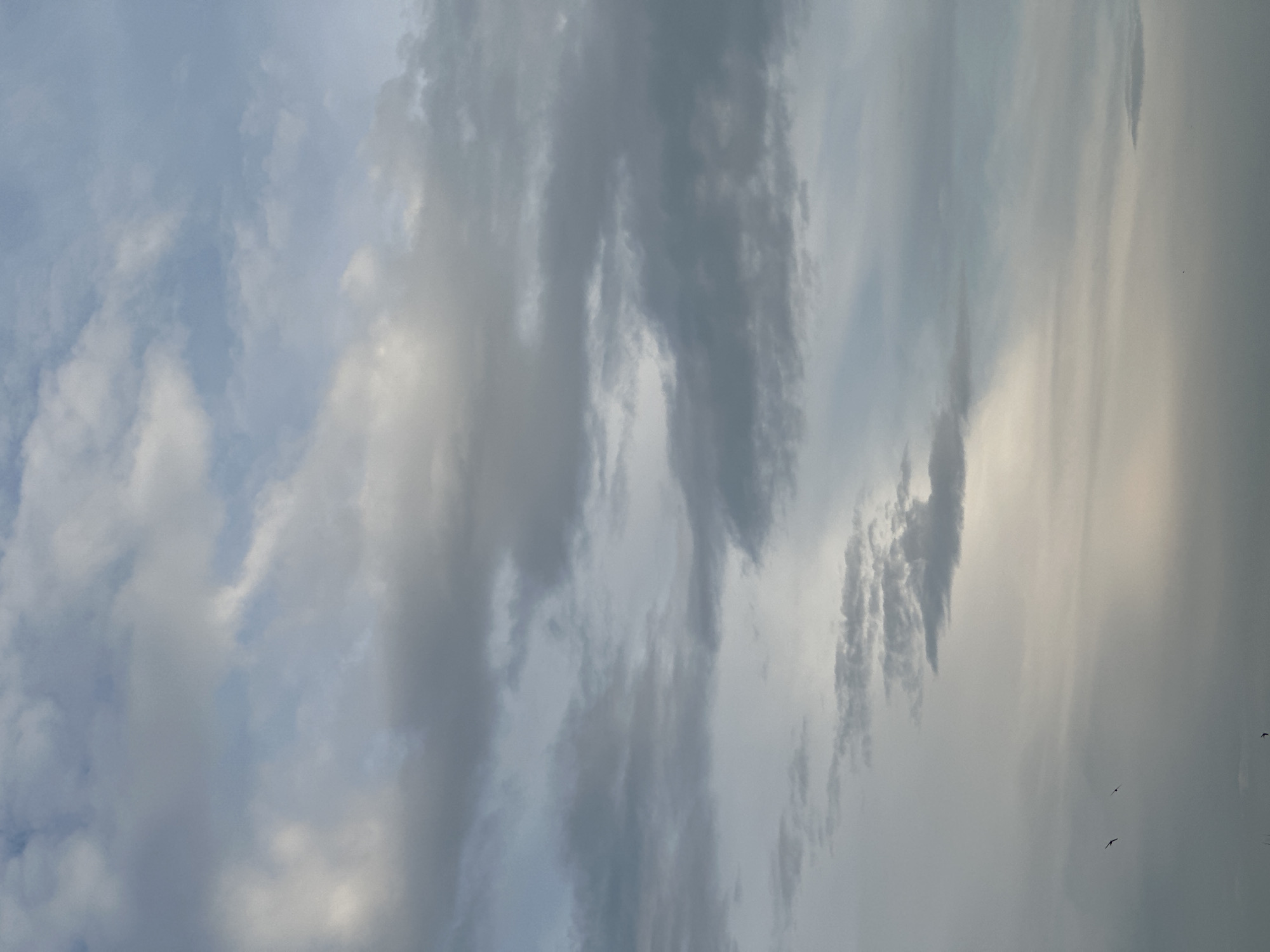 The image is a vertical, low-angle shot of a cloudy sky above Gusinoozyorsk, Russia. The sky is filled with a mix of light and dark gray clouds, with patches of lighter blue sky visible in between. The clouds are textured and appear to be moving, with some wispy formations and denser, more solid masses. In the lower portion of the image, there are faint outlines of what appear to be birds in flight against the lighter, hazy sky. No people or man-made structures are clearly visible in the frame. The overall atmosphere is serene and natural, suggesting an outdoor scene, possibly during the day or twilight.