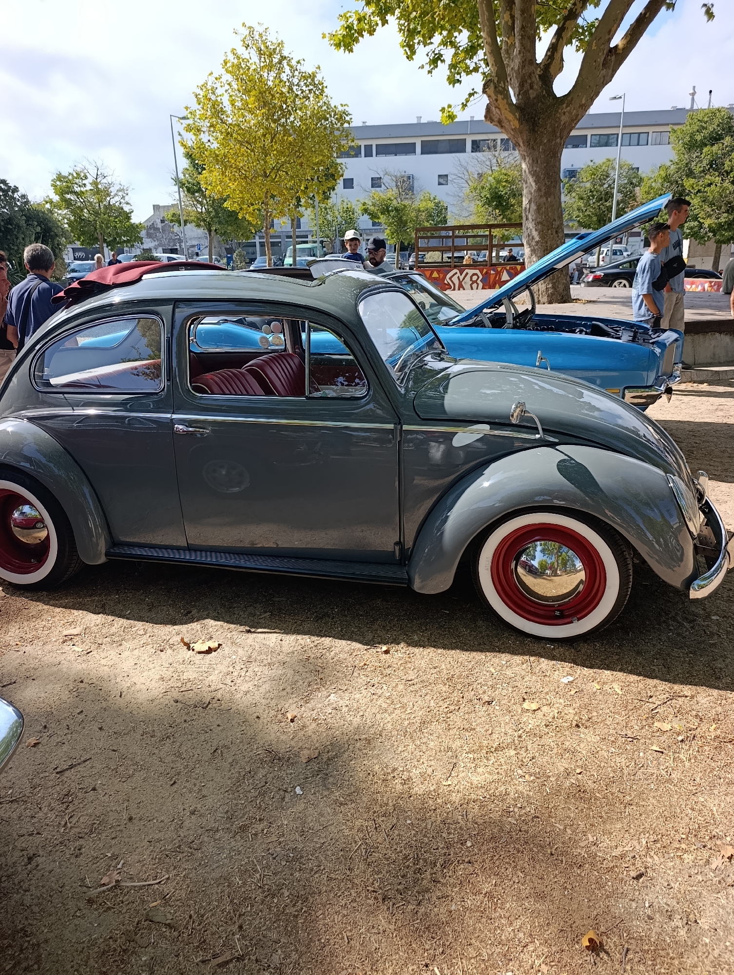 The image depicts a bright outdoor scene, likely a car show or exhibition, set in the city of Setúbal, Portugal. The foreground is dominated by a vintage grey Volkswagen Beetle with a red convertible top. The car features chrome accents, including the door handles and side mirrors, and has red hubcaps with white wall tires. The interior, visible through the windows, appears to be upholstered in red leather. To the right of the Beetle, a bright blue vintage car with its hood open is parked. Two young men, dressed casually, are standing near the blue car, looking towards it. In the background, several other vehicles, trees with yellowing leaves, and a modern white building are visible, suggesting an urban or semi-urban environment. The ground is covered in dirt and scattered leaves. The lighting indicates it is daytime, with sunlight casting shadows.