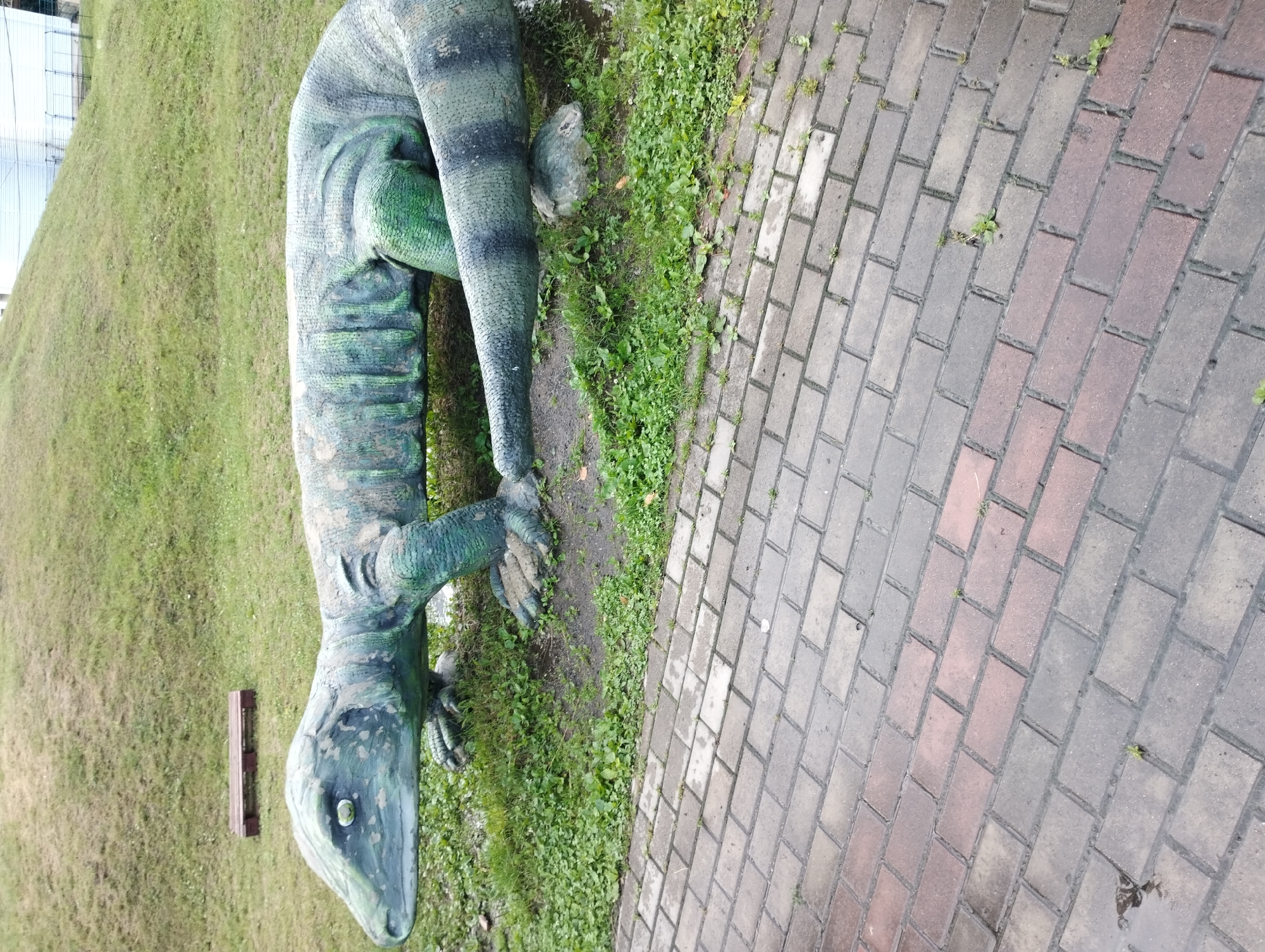 An outdoor, ground-level, eye-level full shot shows a large, stylized sculpture of a monitor lizard. The sculpture is green and grey with darker green, textured stripes along its body and tail, and appears to be made of concrete or similar material. It is situated on a patch of grass and dirt, with a paved walkway made of grey and red bricks in the foreground. The background consists of a grassy hill and a white building with fencing. A small wooden bench is visible on the grass in the mid-ground, to the left of the lizard sculpture. The image was taken in the city of Sumy, Ukraine.