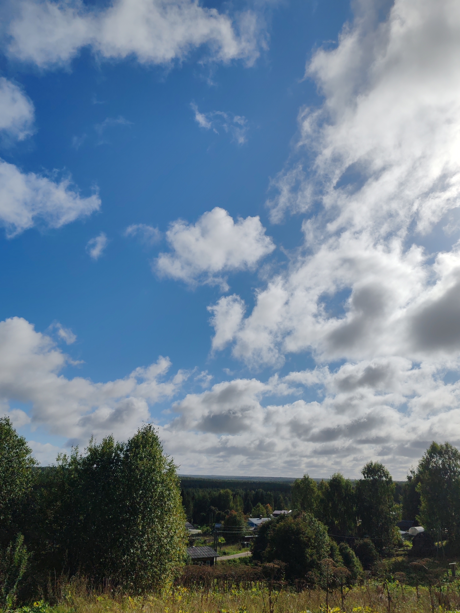 This is a photograph of a rural landscape under a partly cloudy sky. The foreground features tall green grass and some wildflowers, with a dense cluster of deciduous trees dominating the midground. Behind the trees, a few small buildings, likely houses or sheds, are visible, along with a road. In the distance, a dark line of coniferous forest stretches across the horizon. The sky is a bright blue with scattered white and gray cumulus clouds. The image appears to be taken from an elevated position, looking down on the settlement. The overall impression is one of a sunny, pleasant day in a quiet countryside. The location is identified as Чухлэм, Russia.