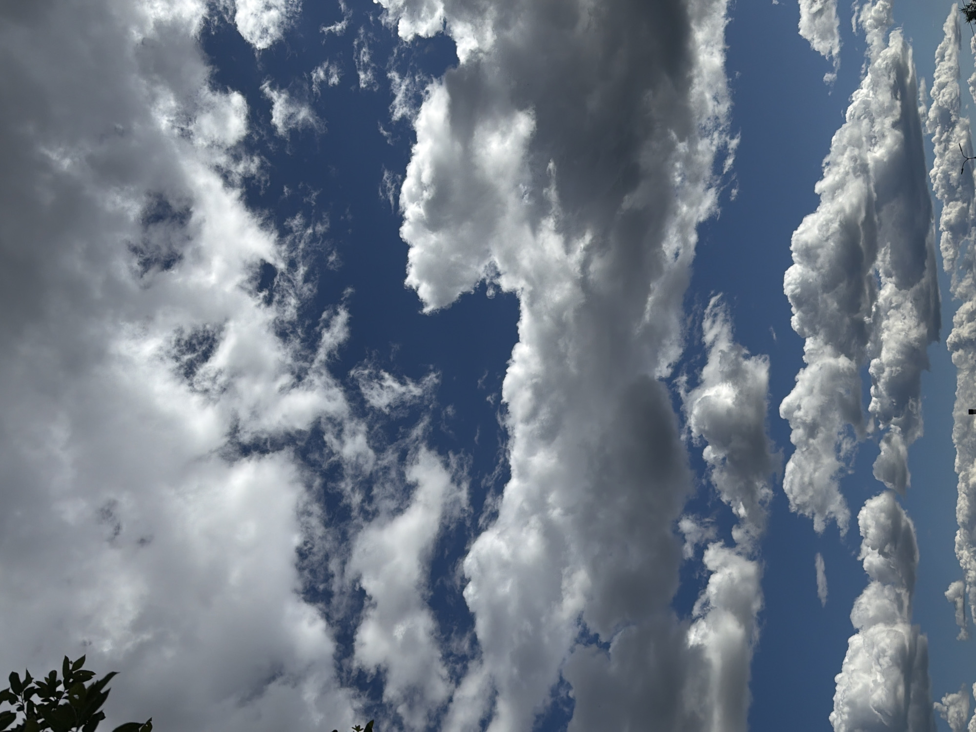 The image is a vertical shot of a blue sky filled with various types of clouds. There are large, fluffy cumulus clouds, some appearing white and bright, while others are darker and more ominous, suggesting a dynamic weather system. Wispy cirrus clouds are also visible, scattered across the sky. The clouds are arranged in distinct columns and formations, creating a sense of depth and movement.
In the lower left corner of the image, a small portion of dark green foliage from a tree is visible, indicating an outdoor setting, likely looking upwards. The lighting suggests it is daytime, possibly late morning or early afternoon, as the sun is strong enough to create bright highlights on the clouds. The overall mood is serene yet powerful, capturing the grandeur of the sky. There are no people, objects, or text visible in the image. The location context provided is Polarnie Zori, Russia.