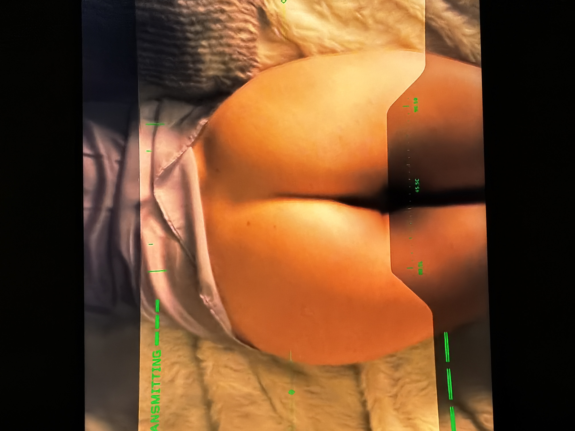 The image displays a close-up, overhead view of a person's bare buttocks, illuminated with warm, golden tones, suggesting an indoor setting like a bedroom. The person appears to be lying face down on a light-colored, fluffy textured surface, possibly a blanket or rug. A sliver of light-colored fabric, resembling underwear or sleepwear, is visible around the person's hips.
A prominent green digital overlay or heads-up display (HUD) effect is superimposed on the image. On the far left side, oriented vertically, the word "TRANSMITTING" is visible in green text. The right side of the image features a vertical bar with various green numerical and symbolic indicators, including "100%" and "45 SC," along with multiple green dashed lines and small geometric shapes. These elements resemble data readouts or targeting information, giving the impression of a filtered view, perhaps from a video game or a specialized camera. The overall atmosphere is intimate and stylized by the digital overlay.