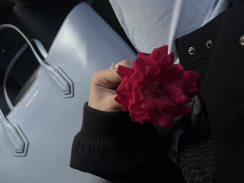 A close-up captures a hand holding a vibrant red rose. The hand, adorned with a ring, wears a black long-sleeved shirt. Beside the hand is a light blue tote bag with handles. The scene also includes parts of clothing, including a light blue shirt and a black jacket with visible metal buttons. The image has a cool tone due to the blue and black colors dominating the composition.