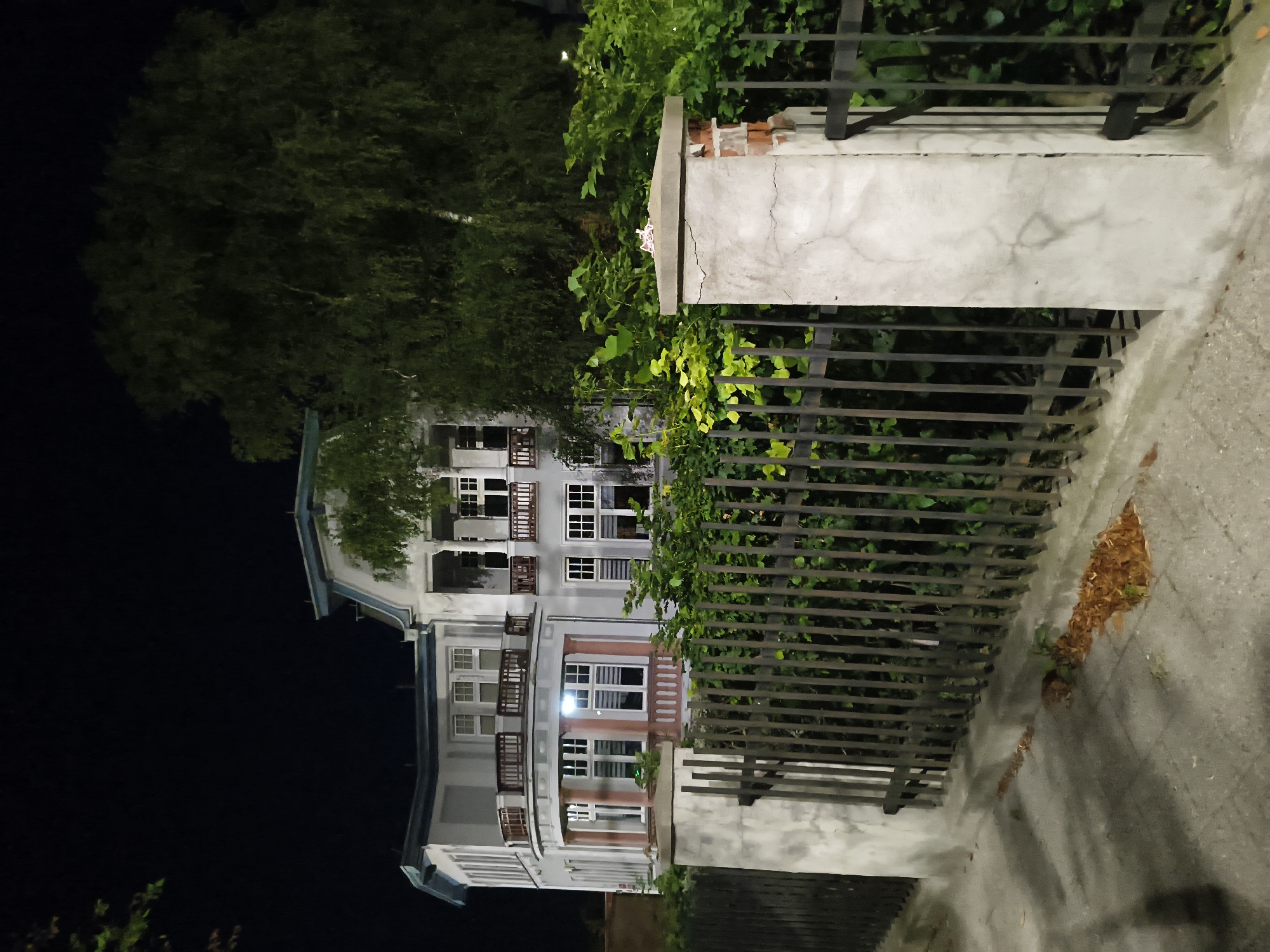 The image depicts a dimly lit scene of a large, light-colored house with multiple stories and balconies at night. The house is partially obscured by a tall, dense tree on the right side of the frame and lush green foliage. A dark metal fence runs along the front of the property, with a concrete pillar on the right side. The ground in front of the fence is a paved walkway with scattered dry leaves. The scene appears to be a residential area in the city of Tczew, Poland, possibly taken from a street or sidewalk. There are no people visible in the image.