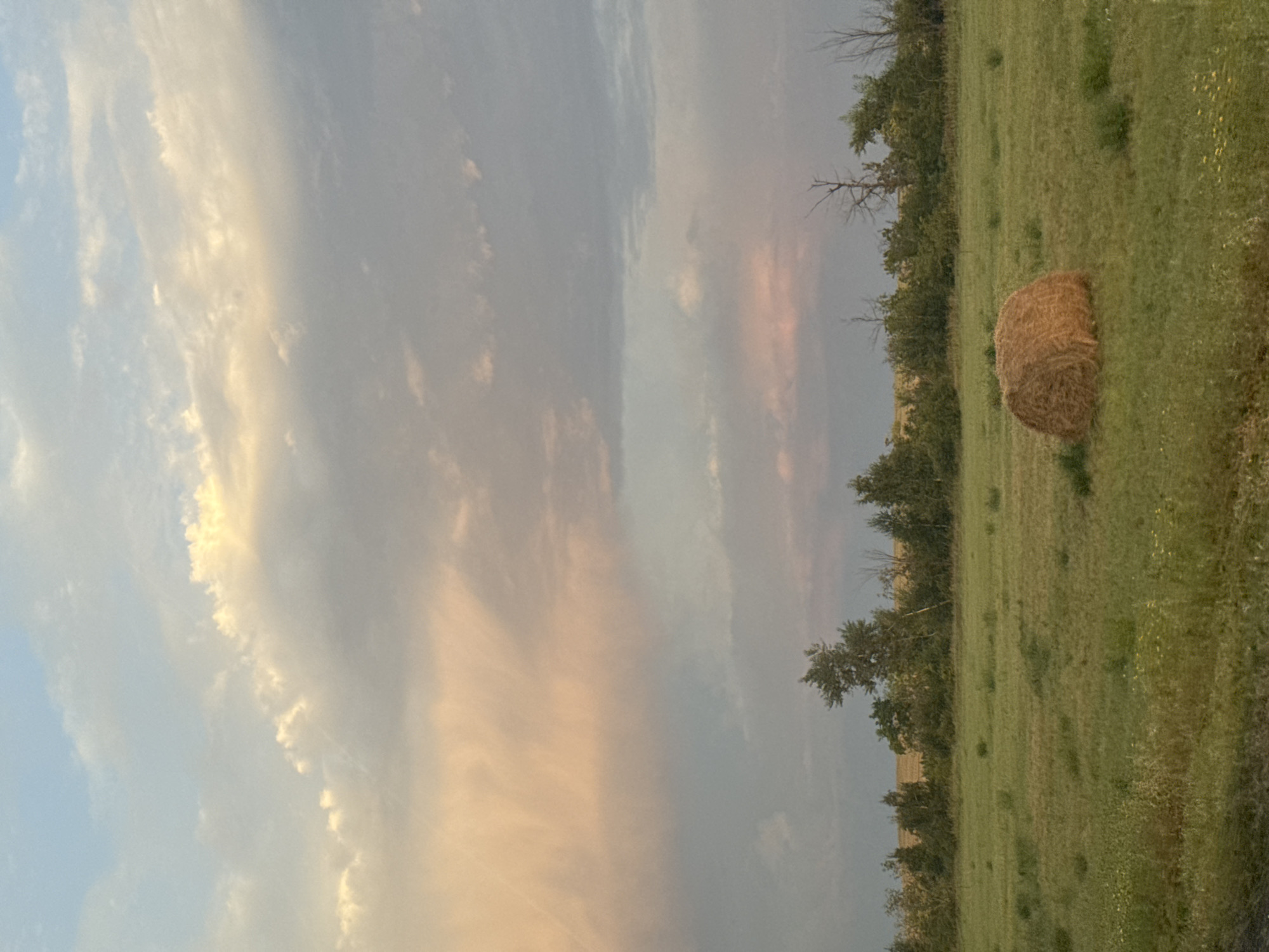 A wide shot captures a serene rural landscape under a dramatic sky. In the foreground, a grassy field is dotted with scattered yellow wildflowers. A single, round hay bale rests in the middle ground, its texture a rough golden brown. Behind the field, a line of diverse trees and shrubs forms a dense natural border, with some bare, skeletal branches visible amongst the foliage, suggesting a transition in seasons or a natural feature of the area. The sky above is a canvas of soft, muted colors, transitioning from a pale blue at the top to hues of peach and gray closer to the horizon. Wispy clouds drift across, catching the light and creating a painterly effect. The overall impression is one of tranquility and natural beauty, likely a scene in the countryside near Perevolotsky, Russia.