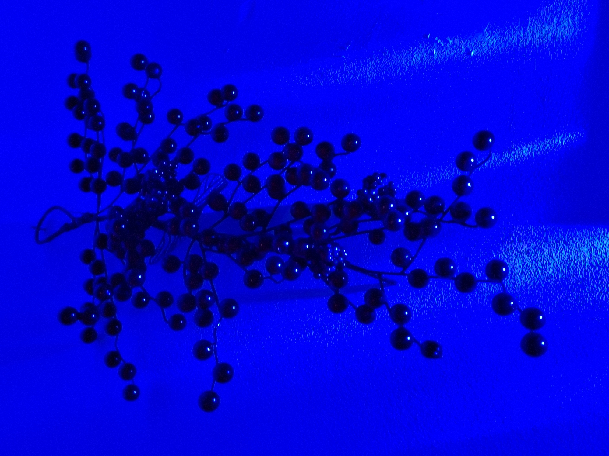 The image features a decorative spray of numerous dark, shiny, spherical beads or berries arranged on thin, branching stems. These elements are set against a vibrant, deep blue background. The beads appear almost black but reflect the intense blue light, showing subtle highlights that give them a blue-purple tint. The arrangement of the stems and beads creates a dynamic, spiky pattern extending across the frame.
The background is a consistent electric blue, exhibiting a visible texture that suggests a surface like a wall or textured fabric. This texture is more pronounced in the upper right and lower right areas, indicating a slightly uneven or rough surface. Strong lighting illuminates the scene, enhancing the reflectivity of the beads and accentuating the background's texture. There is no activity or event depicted, and no people are visible. No text is present in the image. The overall impression is that of a striking, monochromatic still life, emphasizing shape, texture, and a dominant blue color.