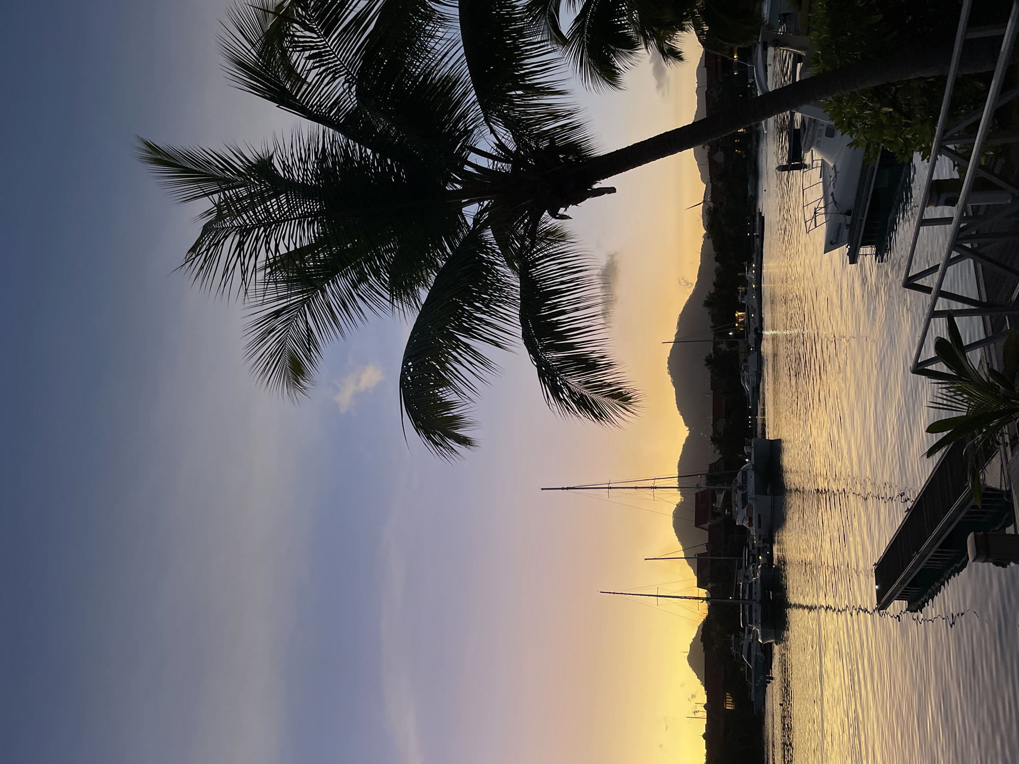 The image depicts a serene harbor scene in Providence, Seychelles, during twilight. The sky transitions from a soft lavender at the top to a vibrant yellow-orange gradient closer to the horizon, where silhouettes of mountains are visible. In the foreground, a large palm tree with its fronds casting a shadow dominates the right side of the frame.
The water reflects the warm hues of the sunset, creating shimmering patterns. Several sailboats and yachts are moored in the harbor, their masts and hulls visible as dark silhouettes against the illuminated water. A wooden jetty extends from the lower left corner into the water, with a metal railing also visible in the foreground.
The overall atmosphere is peaceful and tranquil, characteristic of a tropical evening. There are no people visible in the image. The setting appears to be a marina or a harbor area within Providence, Seychelles, given the palm trees, boats, and coastal landscape.