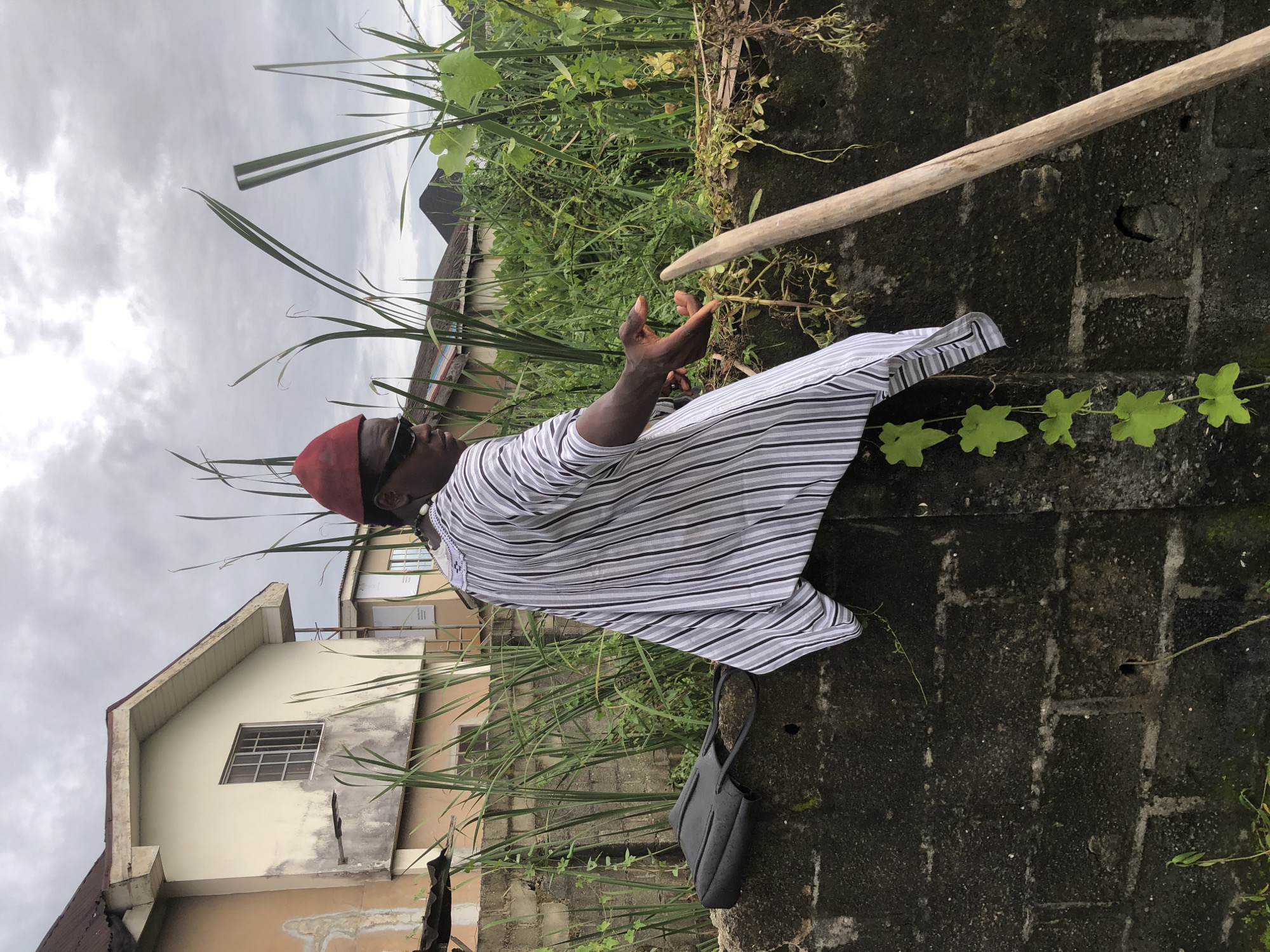 In Ado, Nigeria, a man wearing a red kufi cap and a striped traditional garment stands facing away from the camera, his right arm extended. He is positioned on a grey concrete wall, partially obscured by tall green reeds. A black handbag rests on the wall to his left. To the right of the man, a light brown wooden pole is propped against the wall, extending upwards. In the background, two houses with peaked roofs are visible, one painted cream and the other beige, situated amidst dense vegetation under a cloudy sky.