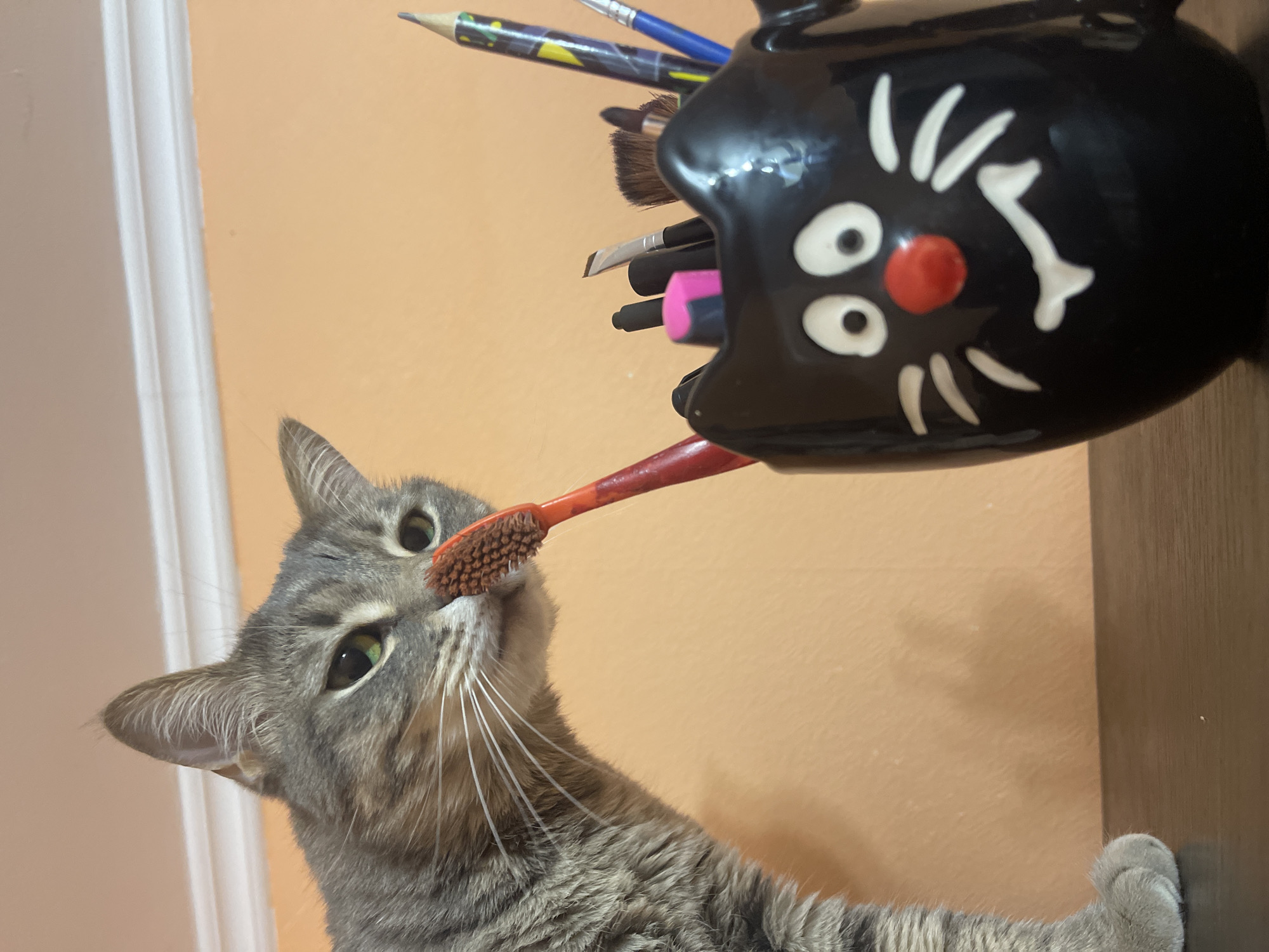 An adult gray tabby cat leans over a dark brown surface, sniffing a red toothbrush held in a black ceramic cup shaped like a cat's head. The cup has a red nose and white eyes and whiskers. Various makeup brushes and a pencil are in the cup. The background is a pale orange wall with white trim. The image is taken from a low angle.