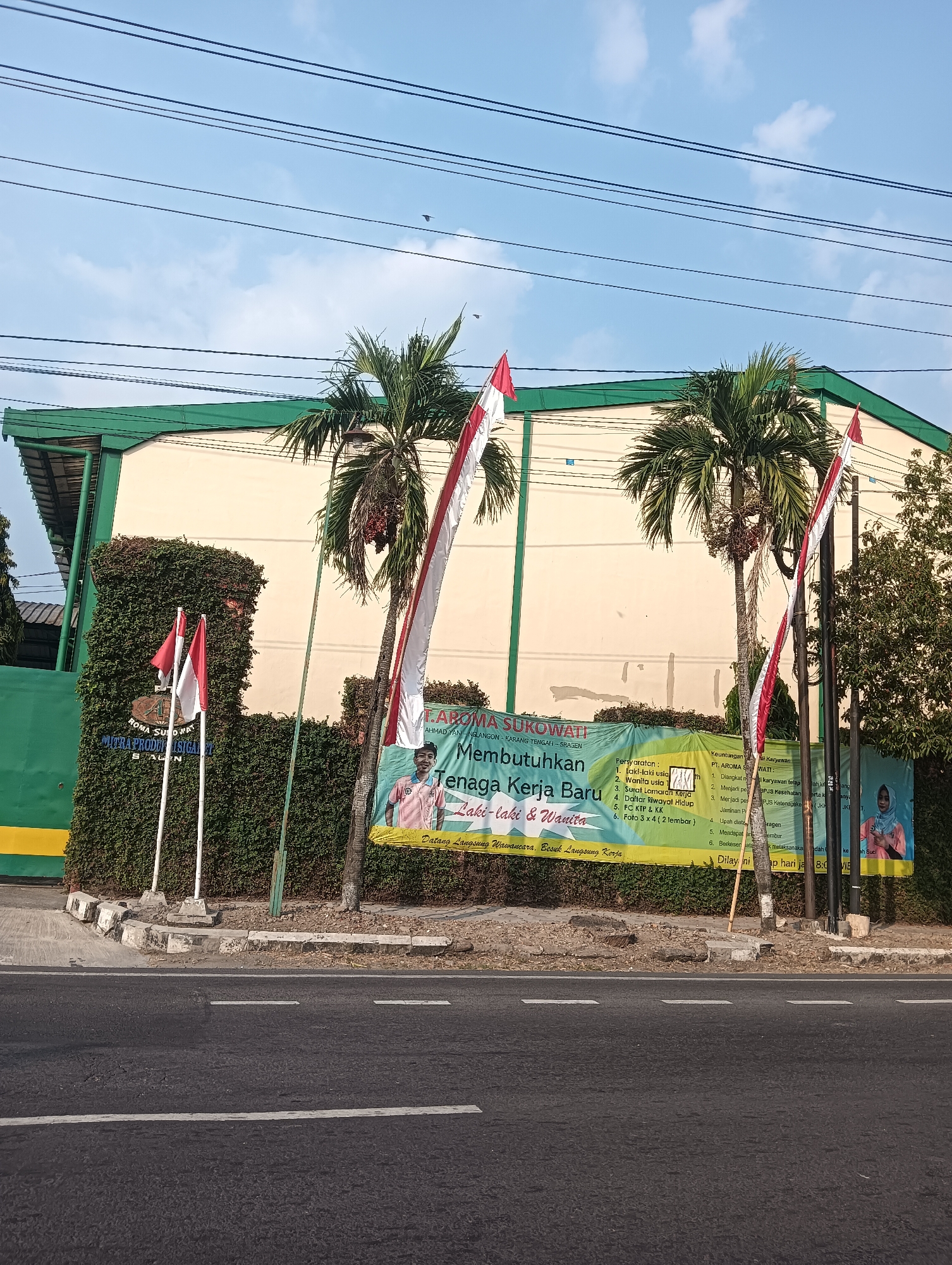 This is an outdoor, eye-level, medium shot of a building facade in Sragen, Indonesia. The building is light yellow with a green roof and is partially covered in ivy. Two palm trees stand in front of the building, each with red and white Indonesian flags on poles. A large banner hangs between the trees, displaying text in Indonesian. The banner reads: "PT. AROMA SUKOWATI Membutuhkan Tenaga Kerja Baru Laki-laki & Wanita". Below this, it lists requirements for applicants. A paved road with white lines runs in front of the building. The sky is blue with scattered clouds. There are no people clearly visible in the foreground, though silhouettes of birds can be seen in the sky. Electrical wires run across the top of the image.