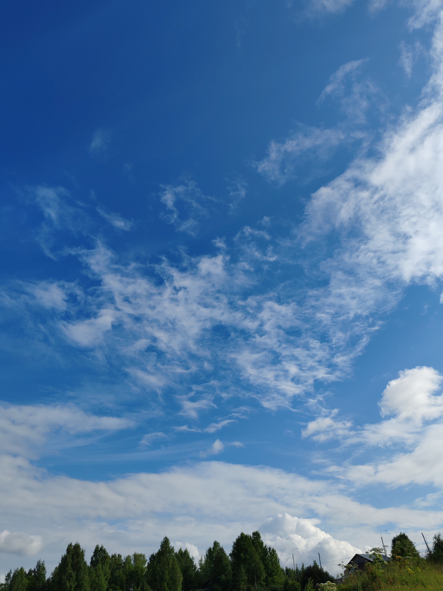This is a vertical, eye-level shot of a bright blue sky filled with wispy white clouds. The clouds are concentrated in the upper two-thirds of the frame, with a few larger, cumulus-like clouds on the right side. Below the sky, a dense line of green trees stretches across the bottom third of the image, with a few distant buildings and power lines visible on the right. The ground in front of the trees is covered in green grass and some wildflowers. The scene appears to be a rural landscape on a clear day. The location is identified as Chukhlem, Russia.