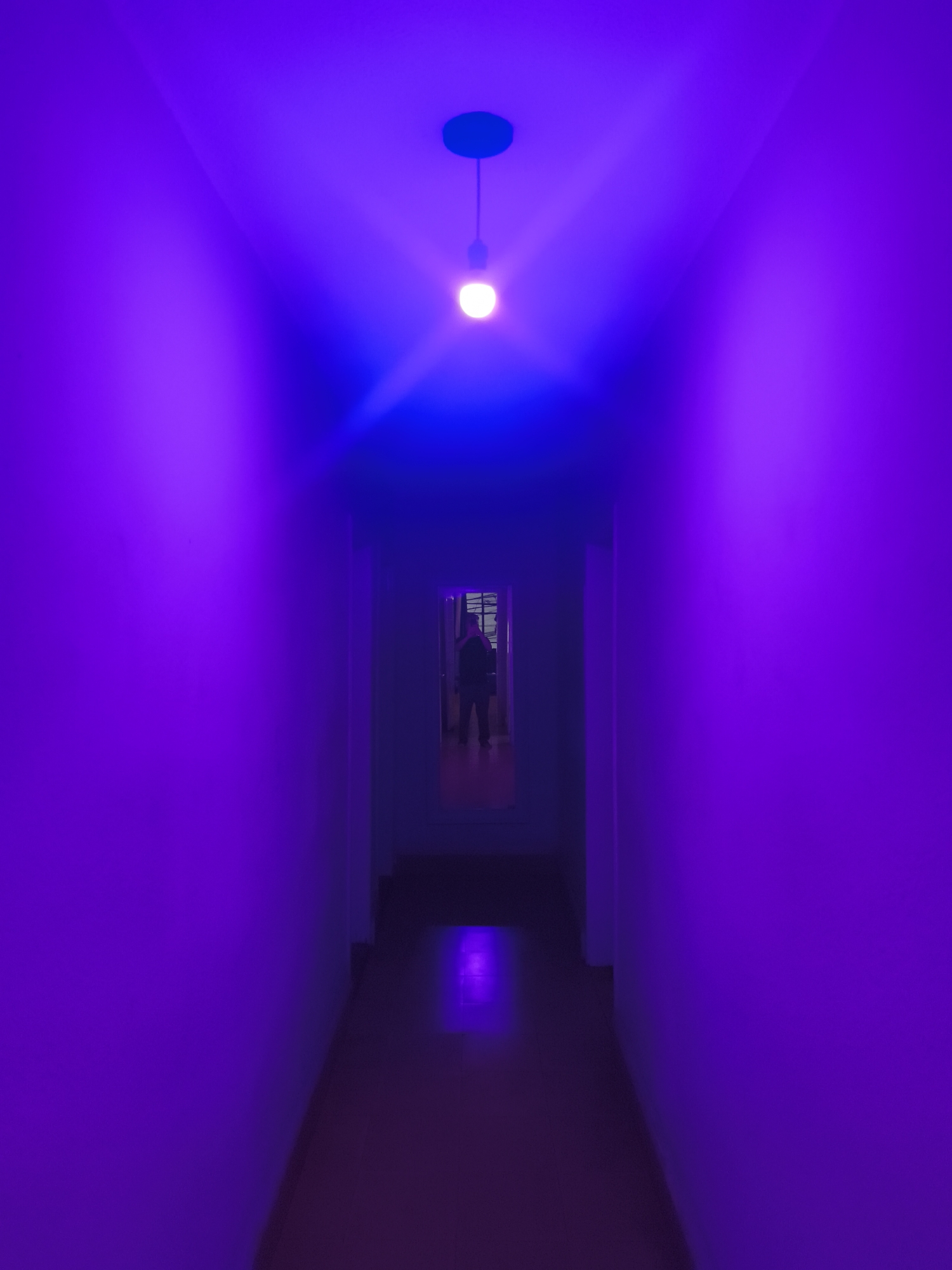 A person stands in a mirror at the end of a long hallway. The hallway is bathed in purple and blue light, emanating from a hanging light fixture near the entrance. The walls are a deep purple, and the floor reflects a reddish hue. The hallway appears to be indoors, likely in a building. The precise location in Mexico City, Mexico, cannot be determined from the image alone.