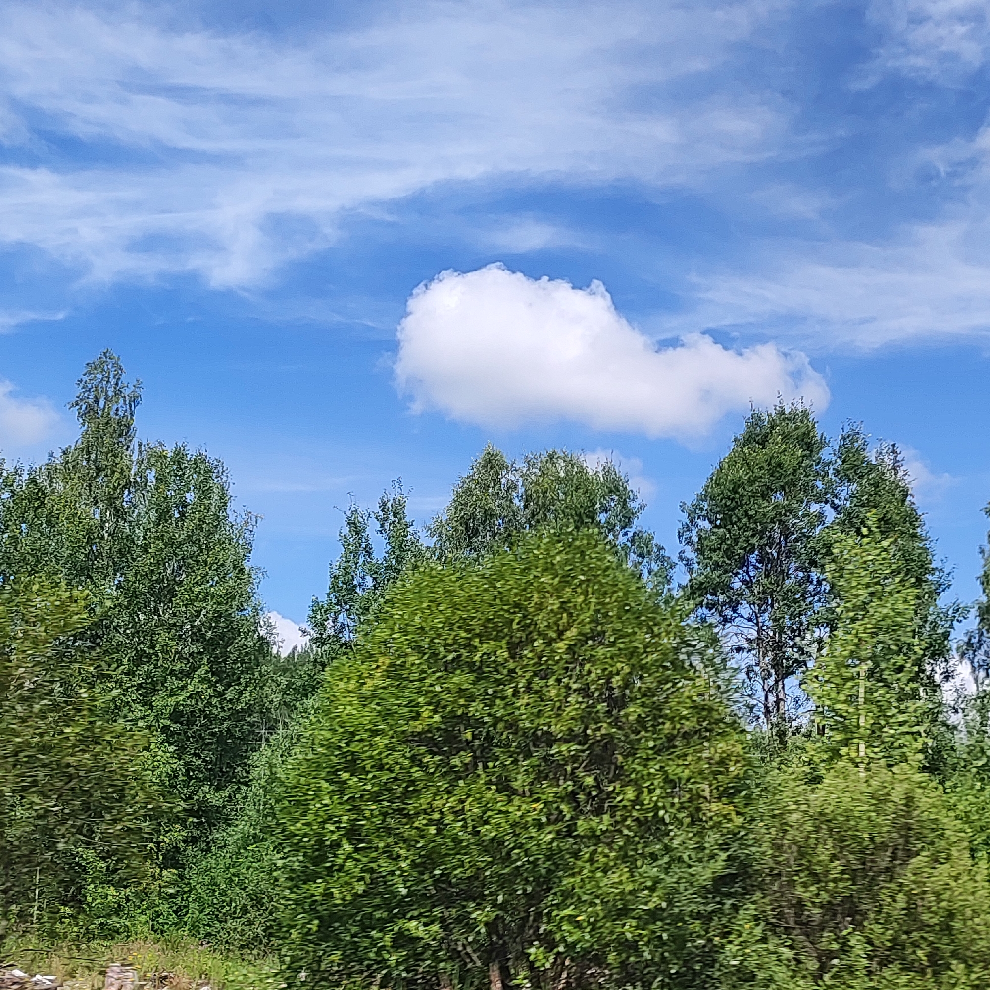 The image depicts a view of a forest with a bright blue sky and scattered white clouds. The foreground is dominated by lush green trees, with a variety of foliage types visible. The trees extend towards the horizon, creating a dense treeline. A single, fluffy white cloud is prominent in the upper center of the sky. The scene appears to be a natural landscape, possibly in a rural or undeveloped area. There is no indication of any urban elements or structures that would place it specifically within the city of Khokhlyata, Russia. The image is a still, natural scene with no people or animals present.