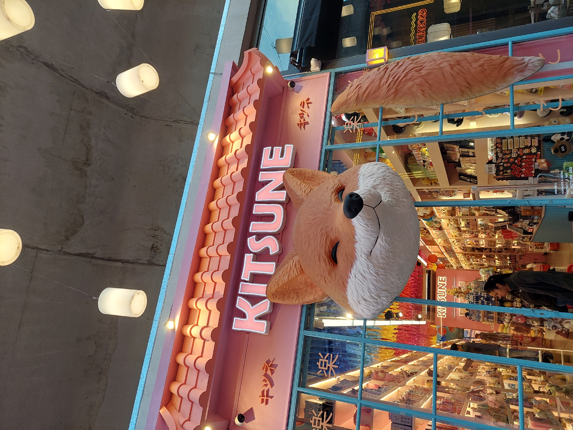 This image captures the vibrant, fox-themed storefront of a shop named "KITSUNE" in Buenos Aires, Argentina. The main feature is a large, smiling 3D fox head that protrudes from the building, alongside a fluffy fox tail visible above the shop window. The shop's facade is predominantly pink, with a distinctive tiled roof-like structure above the main sign and a vertical light blue neon strip along the building's edge.
The prominent sign "KITSUNE" is spelled in large, illuminated pink letters. Below it, Japanese characters "キツネ" (Kitsune) and "楽楽" (Rakuraku) are visible. Several white cylindrical lights hang from the concrete ceiling overhead, suggesting an indoor shopping mall or covered street.
Through the large glass window, the brightly lit interior of the shop is visible, filled with numerous items, likely plush toys and other merchandise, arranged on shelves. Two people are seen inside; one person with dark hair, wearing a dark jacket, is browsing the items.
The bright illumination of the store and its interior suggests it is either evening/night or an indoor setting. The overall aesthetic, with its cute fox mascot and Japanese text, creates a playful and welcoming atmosphere. Additional text on the window includes "HORARIOS, DOMINGOS A JUEVES, VIERNES Y SABADO" (Hours, Sundays to Thursdays, Fridays and Saturdays) and "IG: @KITSUNE_ARG," confirming its location in Argentina.