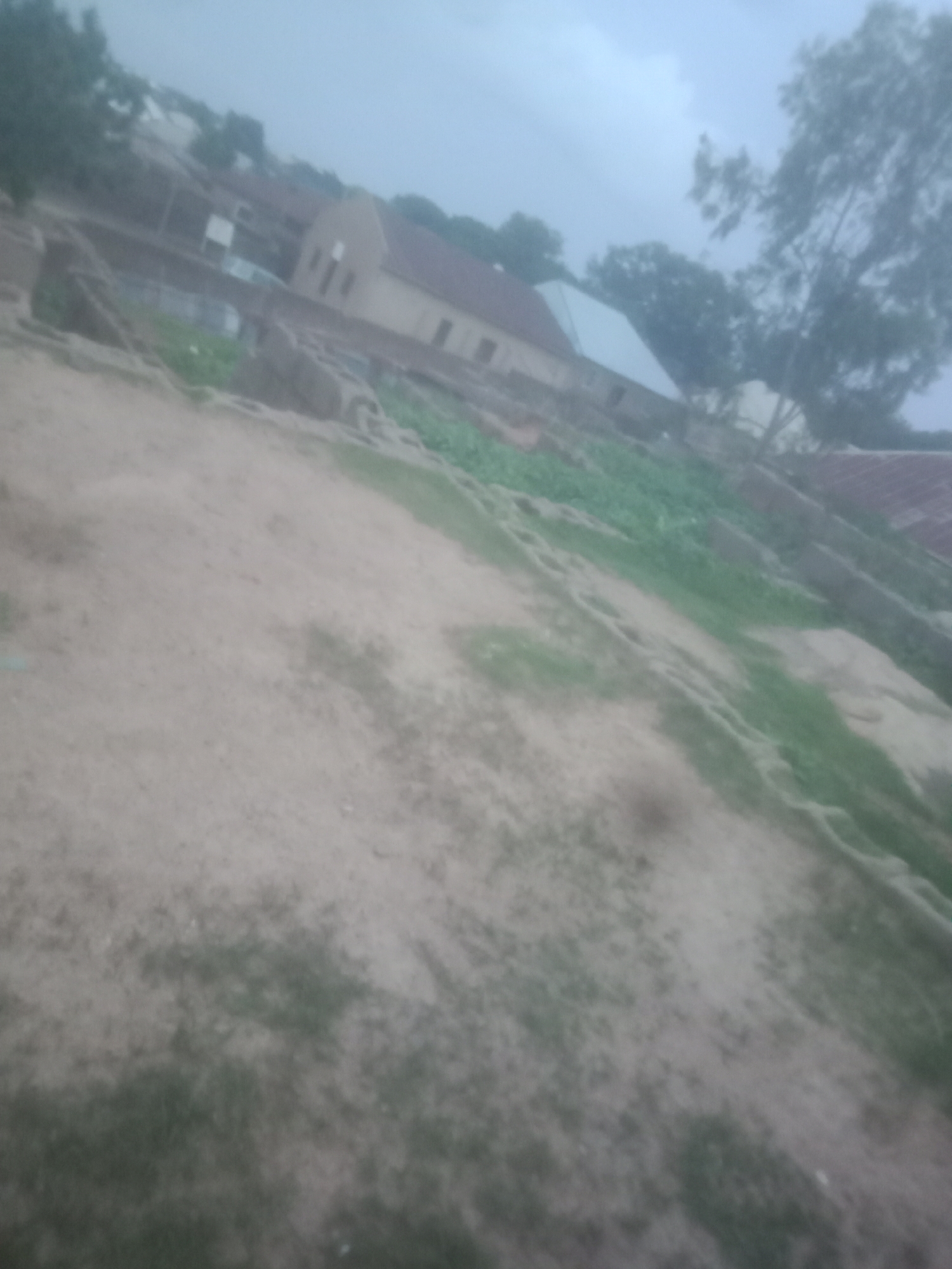 The image depicts an outdoor scene in a village or rural area. In the background, there are several buildings with reddish-brown roofs, suggesting residential or communal structures. One prominent building appears to be a school or a larger institutional building with a lighter-colored roof. The surrounding area is characterized by a dusty, reddish-brown ground with patches of green grass growing sporadically. Some trees are visible, including a large, mature tree on the right side of the frame, with its branches reaching towards the sky. The sky is overcast and appears to be a pale blue-gray, indicating cloudy weather. The overall impression is one of a simple, undeveloped settlement.