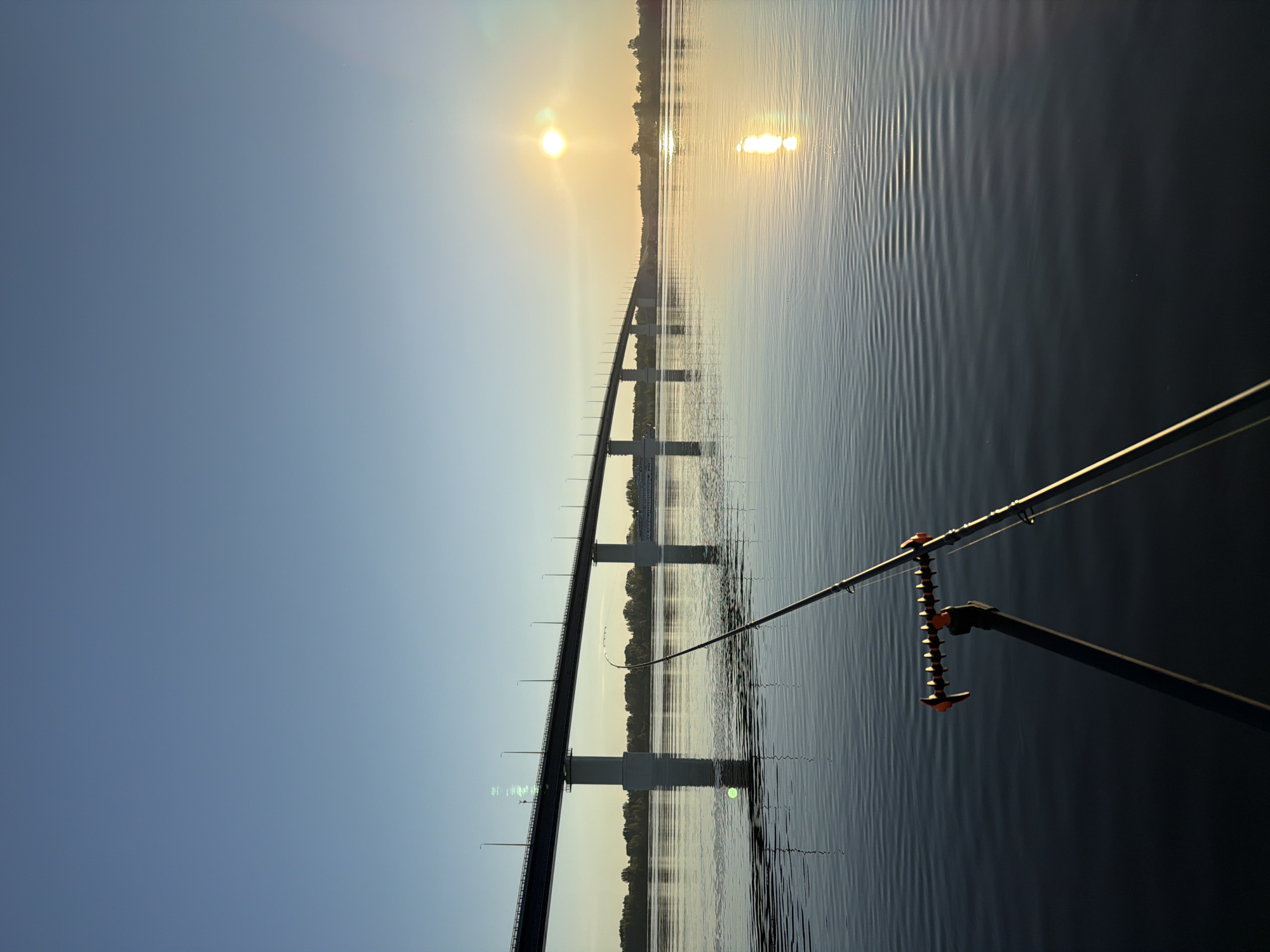 The image depicts a serene waterfront scene at sunrise or sunset, likely in Tarasovo, Russia, with a long bridge spanning a wide body of water. In the foreground, a fishing rod rests in a rod pod, its tip arching slightly over the calm, rippling water. The sun, a bright orb, casts a golden glow on the horizon, reflecting on the water's surface and illuminating the clear, pale blue sky. The bridge, constructed with substantial concrete pillars, stretches across the frame, with streetlights lining its top. A distant ship or boat is visible near the bridge, and a treeline marks the far bank of the river. The overall impression is one of tranquility and quiet anticipation, typical of early morning or late evening fishing.