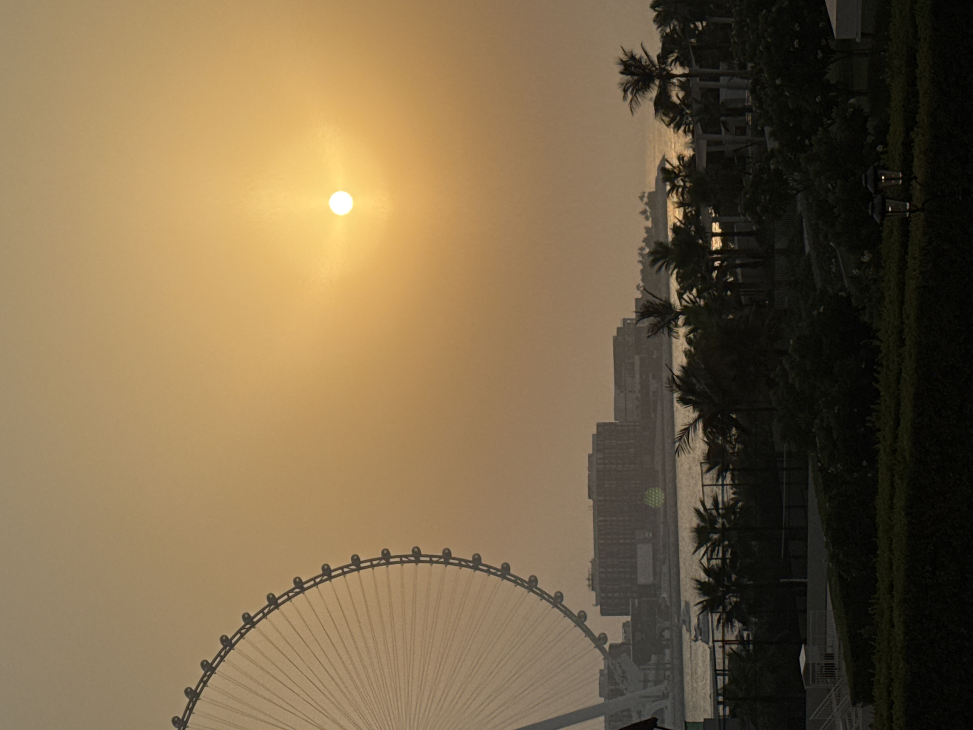 This is a photograph taken at dusk in Dubai, United Arab Emirates. The focal point of the image is a large Ferris wheel, possibly the Ain Dubai, on the left side, with its intricate structure silhouetted against the hazy, orange sky. The sun, a bright, white orb, is visible in the upper right quadrant, casting a warm glow over the scene. In the middle ground, a body of water is visible, with a few boats, including a white speedboat, moving across its surface. Across the water, a long, low-rise building complex is situated, with its architecture indicative of a modern urban environment. Palm trees are scattered throughout the landscape, adding a tropical element to the scene, particularly in the foreground and mid-ground where they frame the view. The foreground consists of lush green vegetation, possibly a manicured garden or park, with two outdoor lamps visible, their lights on. The overall atmosphere is serene and suggestive of a coastal city at the end of the day.
