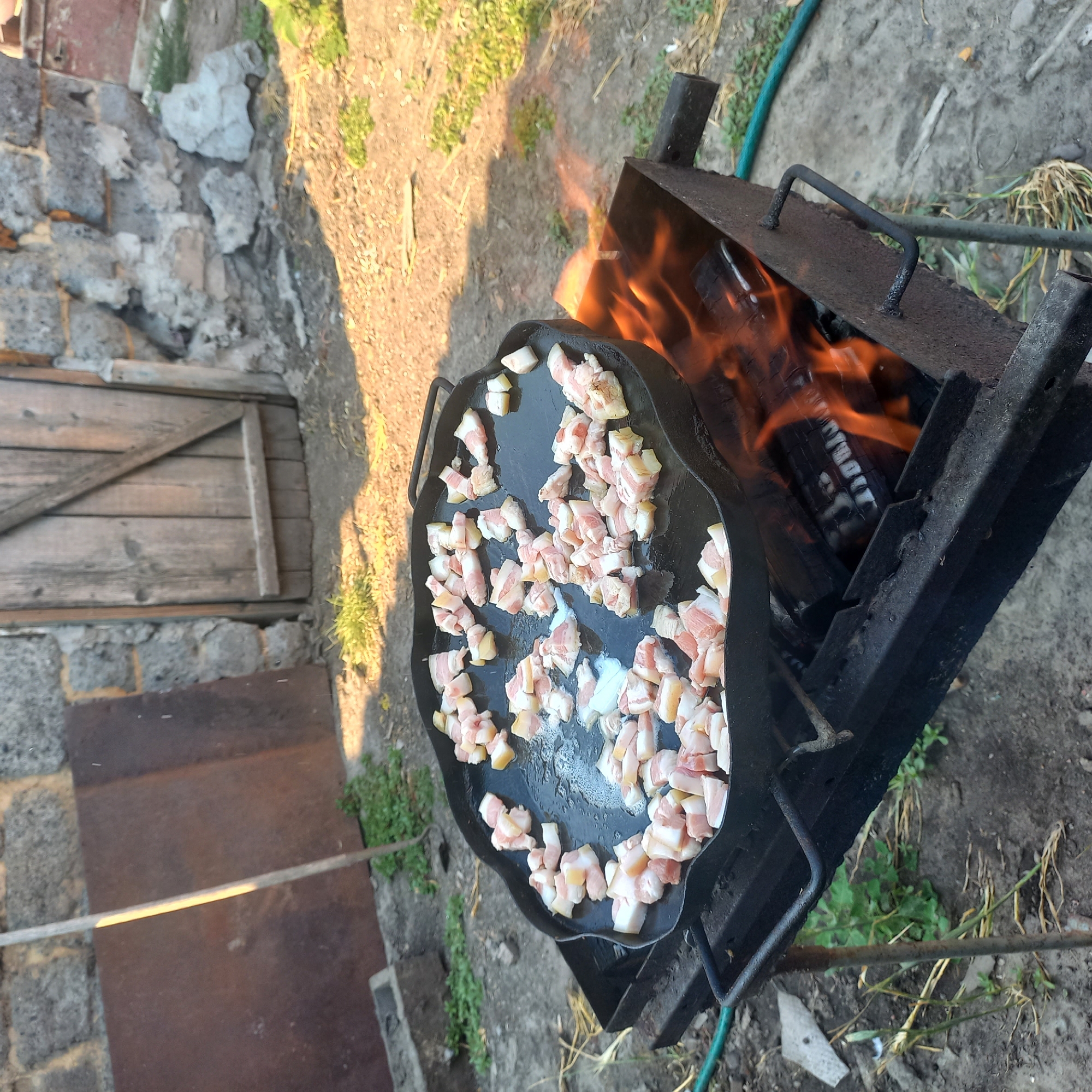 In Klyntsi, Ukraine, a rustic scene unfolds outdoors. A large, flat black cast-iron griddle is positioned over an open fire, the flames of which are visible beneath. The griddle is filled with numerous small, diced pieces of pork fat, some of which are beginning to render and liquefy. The griddle rests on a metal barbecue grill, which itself is supported by weathered metal legs. The background features a rough stone wall, partially obscured by a rusty metal sheet on the left and a weathered wooden door on the right. The ground is a mix of dirt, gravel, and sparse green vegetation. A green hose snakes across the ground in the lower right corner. The overall impression is one of simple, traditional outdoor cooking.
