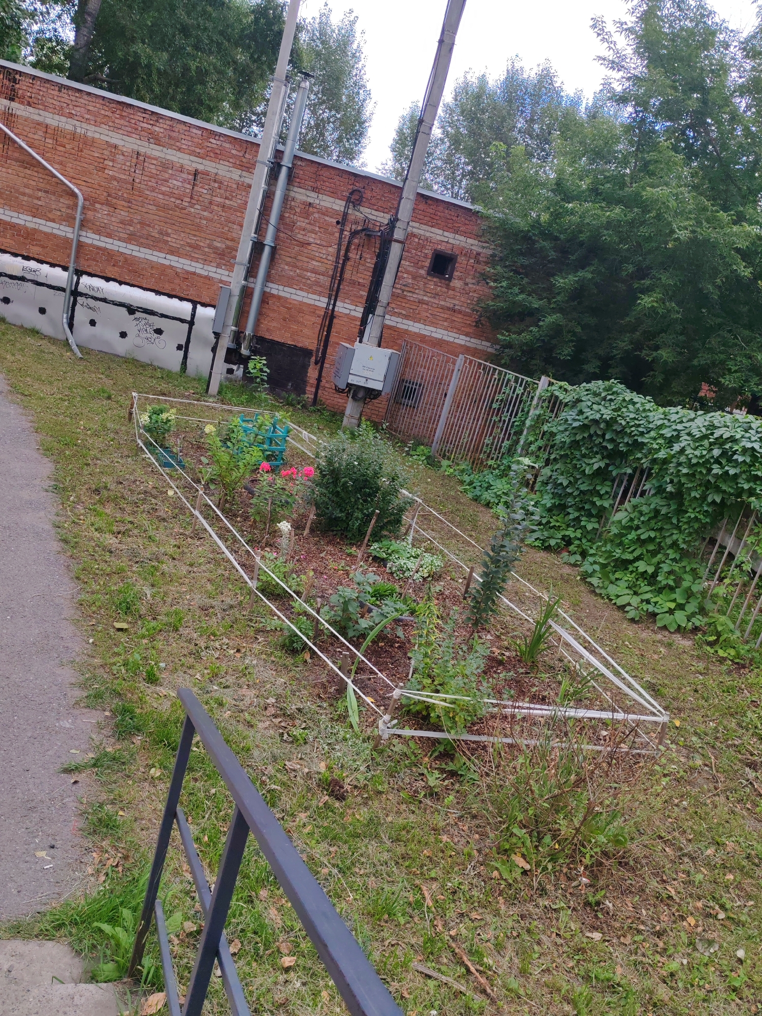 The image shows a small, fenced-in garden bed with various plants, including roses and shrubs. A grey metal railing is visible in the foreground, leading down to a concrete path. Behind the garden, a brick building stands with an overhead cable. A metal fence with overgrown vines runs along the right side of the image. The scene appears to be an outdoor urban environment.