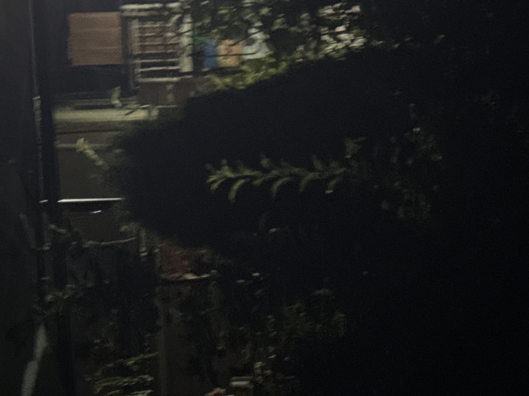 A dark, out-of-focus photograph depicts an outdoor scene at night. In the foreground, a shadowy silhouette of a leafy plant or bush is visible, with some faint green hues suggesting foliage. Behind this, in the midground and background, the image becomes even more indistinct due to low light conditions and blur. There are shapes that suggest architectural elements such as a fence or railing and building structures. One section of the background shows a rectangular object with vertical lines, possibly a window or balcony railing. Further back, there appear to be muted colors, including hints of blue and yellow, on what could be a wall or tapestry. The overall impression is of a dimly lit urban or suburban environment at night, with limited detail and clarity. The location in Vostok, Kyrgyzstan, cannot be determined from the visual information provided.
