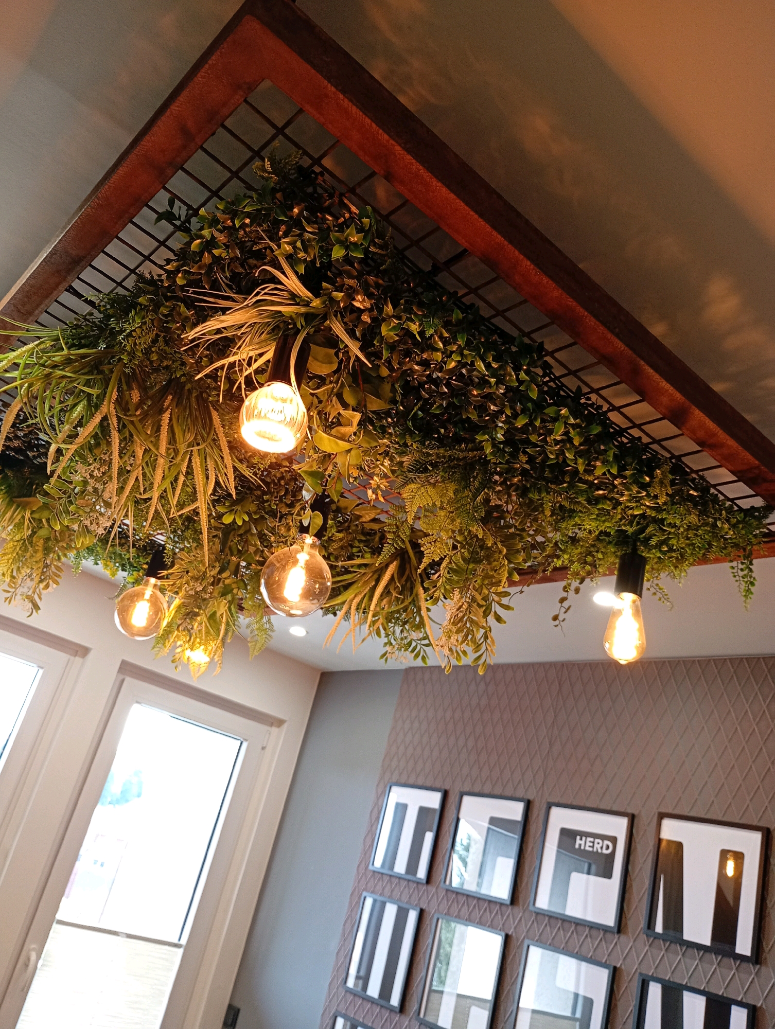 The image shows a close-up view of a ceiling installation in what appears to be an indoor space, possibly a restaurant or a lounge, located in Bad Sachsa, Germany. The installation is a large, rectangular wooden frame supporting a dense arrangement of artificial plants, creating a hanging garden effect. Several Edison-style light bulbs are suspended from the structure, illuminating the foliage. The lighting casts warm shadows on the ceiling.
Below the hanging installation, a wall is visible, decorated with a textured diamond pattern. A series of framed artworks are mounted on this wall. Some frames contain black and white abstract designs, while one frame displays the word "HERD" within a black rectangle against a white background.
To the left, a portion of a window with a white frame is visible, offering a glimpse of an outdoor scene that is bright and possibly shows some buildings. The overall aesthetic suggests a modern and naturalistic interior design. There are no people visible in the image.