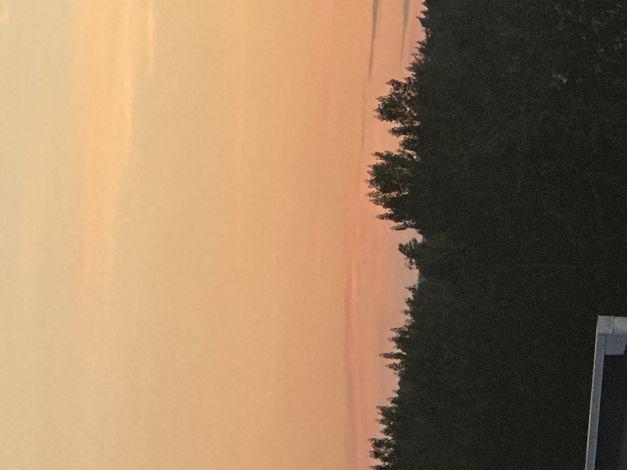 A wide, outdoor, close-up, vertical, low-angle, eye-level shot captures the silhouette of a dense forest against a warm, orange-pink sunset. The sky transitions from a lighter peach tone at the top to a deeper pink hue near the horizon. Wispy, horizontal clouds are faintly visible across the sky. The tree line forms a dark, textured silhouette along the bottom third of the frame, with individual tree tops appearing as jagged shapes. In the bottom left corner, a portion of a white and dark structure is visible, suggesting a building or railing in the foreground. The overall lighting suggests twilight or early evening.