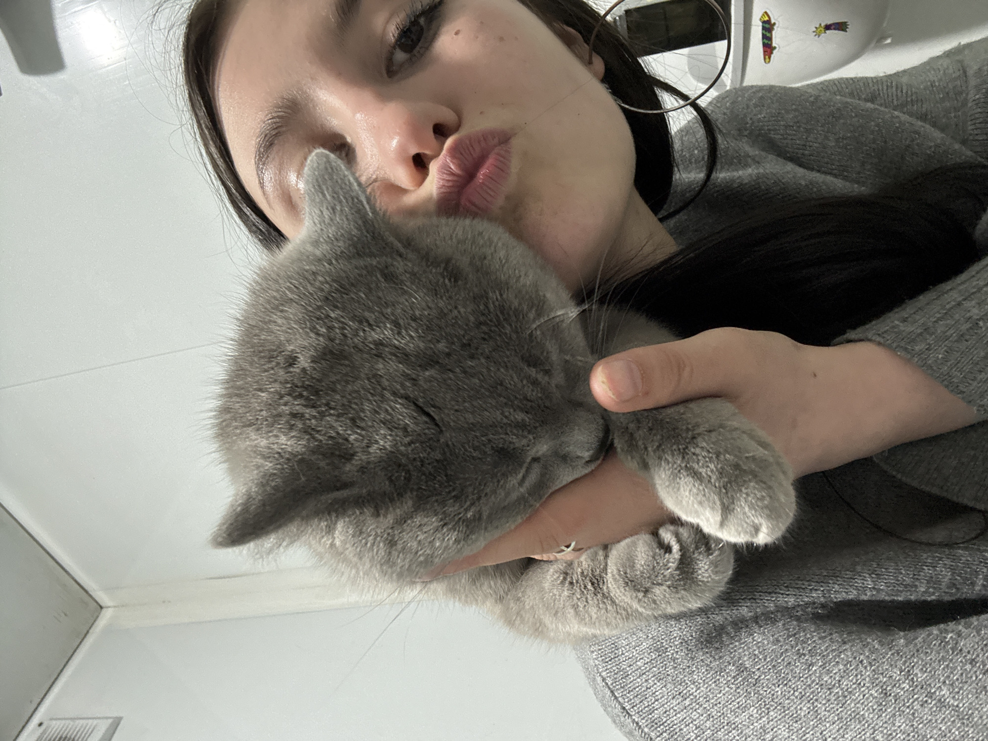 A close-up selfie captures an intimate and tender moment between a person and a gray domestic cat, set indoors in Фоки, Russia. The image is taken from a high angle, looking down slightly on the subjects.
The human subject, likely a young person with dark hair, is visible from the eyes down, displaying a clear expression of affection with puckered lips as if blowing a kiss. Their skin is smooth and luminous, and they wear a silver hoop earring in their visible ear, along with a simple, thin ring on the ring finger of their left hand. They are dressed in a warm, gray knitted sweater.
The main focus of the person's attention is the gray cat, which is held securely and lovingly in their arms, nestled close to their face. The cat appears completely relaxed, with its eyes gently closed, suggesting it is either sleeping peacefully or simply enjoying the comfort and warmth of the embrace. Its soft, dense gray fur is prominent, and its small paws are visible, resting casually on the person's arm.
The background is predominantly white, suggesting a clean wall or ceiling, which provides a bright and uncluttered setting. In the upper right corner, a white object, possibly a light fixture or part of the room's decor, is adorned with two small, colorful stickers: one resembling a skateboard and the other a shooting star. The overall atmosphere of the photograph conveys a strong sense of love, comfort, and companionship between the pet owner and their feline friend.