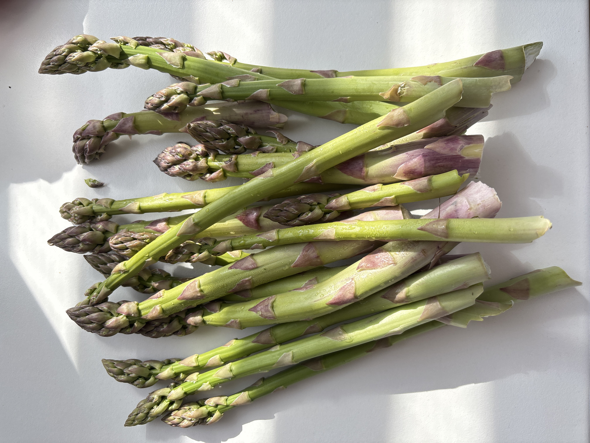 A bunch of asparagus spears are arranged on a white surface, likely a table or countertop. The spears are predominantly green with some purple hues, particularly towards the base. The tips of the spears are tightly closed and have a slightly darker, more textured appearance. The spears are cut at the base. Sunlight is casting shadows across the scene.
There is no indication of this image being taken in the city of Chaikovsky, Russia.
