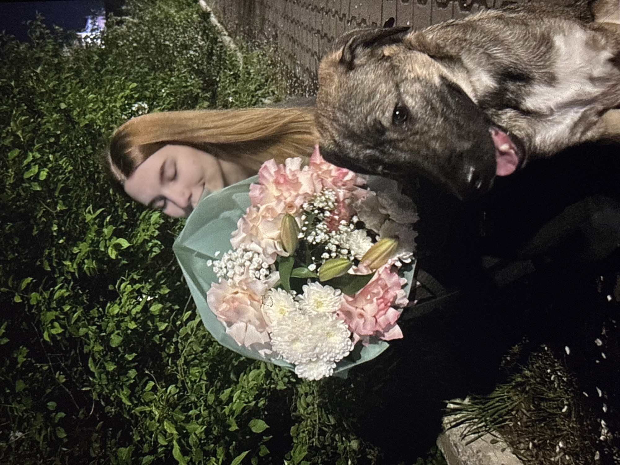 A young woman with long blonde hair is holding a bouquet of flowers. Beside her, a dog with brown and black fur is looking forward with its tongue out. They are standing near a bush and a paved area. The scene appears to be outdoors at night, possibly in a park or residential area, with ambient lighting from the side.
