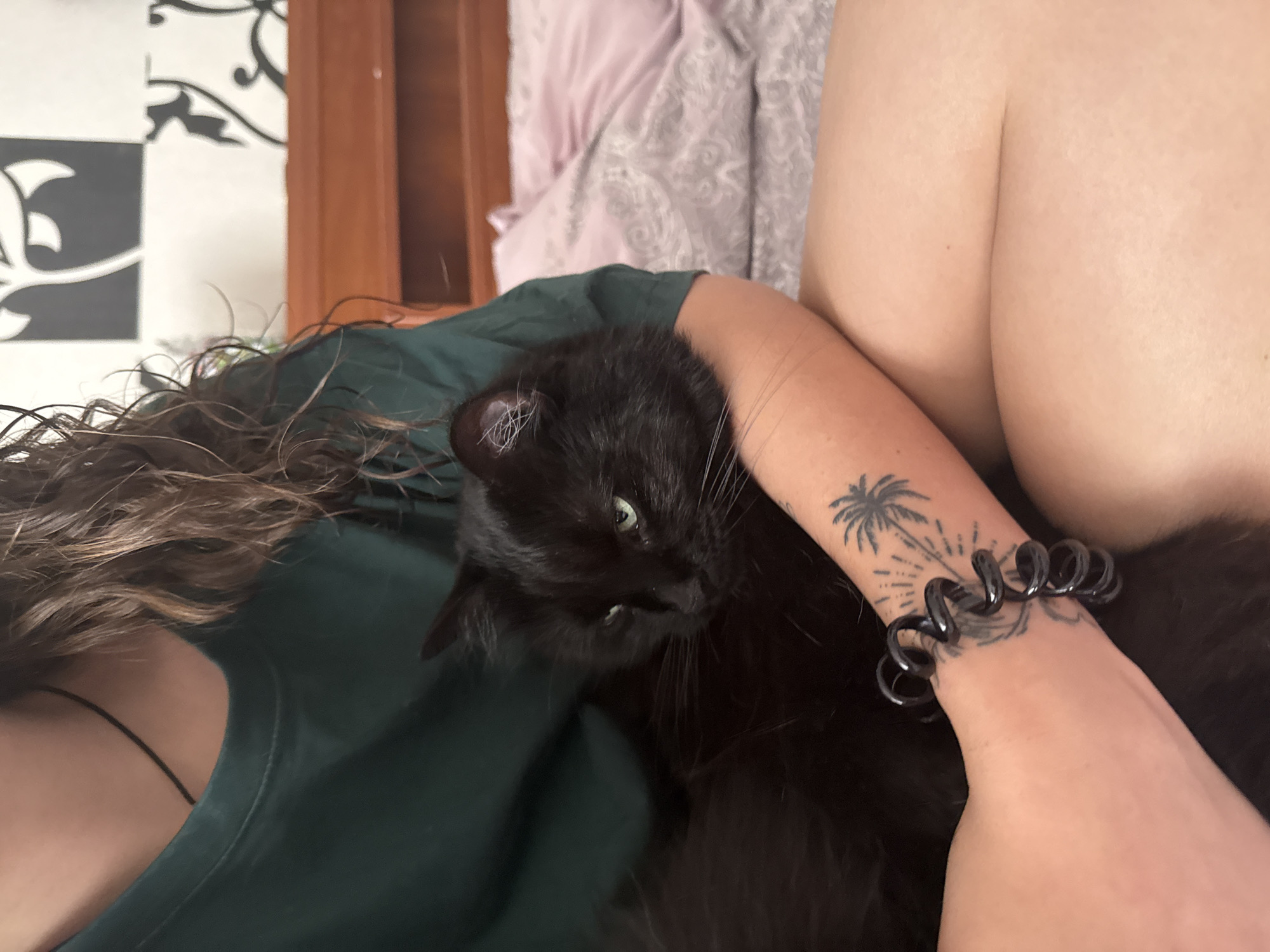 A person with long, wavy brown hair and a dark green t-shirt is holding a black cat. The cat is partially visible, with its head resting on the person's arm. The person has a tattoo of a palm tree on their arm, and is wearing a black spiral bracelet. The scene appears to be indoors, possibly a bedroom, with a wooden headboard and patterned wallpaper visible in the background. A pink duvet is also visible on a bed. There is no indication of the city of Odesa, Ukraine.