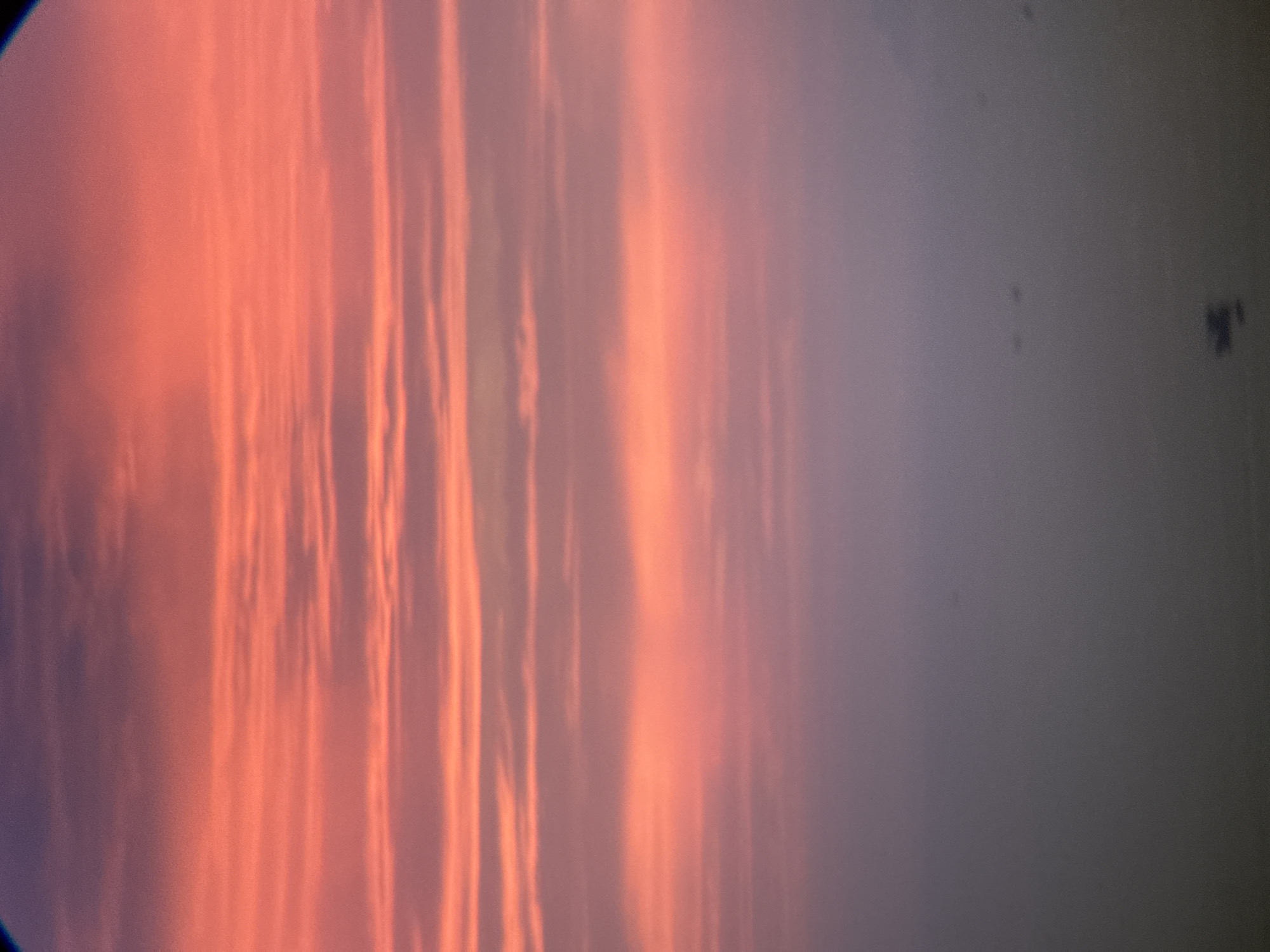 This image depicts a sky filled with horizontal clouds tinged with vibrant hues of pink and orange, characteristic of a sunset or sunrise. The lower portion of the image fades into a hazy, muted gray, suggesting the presence of fog or a distant, indistinct landscape. Scattered throughout this lower section are small, dark specks that could be birds or other distant objects. The overall impression is one of a vast, atmospheric vista, possibly over water or a low-lying area. The scene's details are too generalized to pinpoint a specific location within Nha Trang, Vietnam, though the hazy horizon could align with the city's coastal geography. There are no identifiable people, specific structures, or clear actions captured.