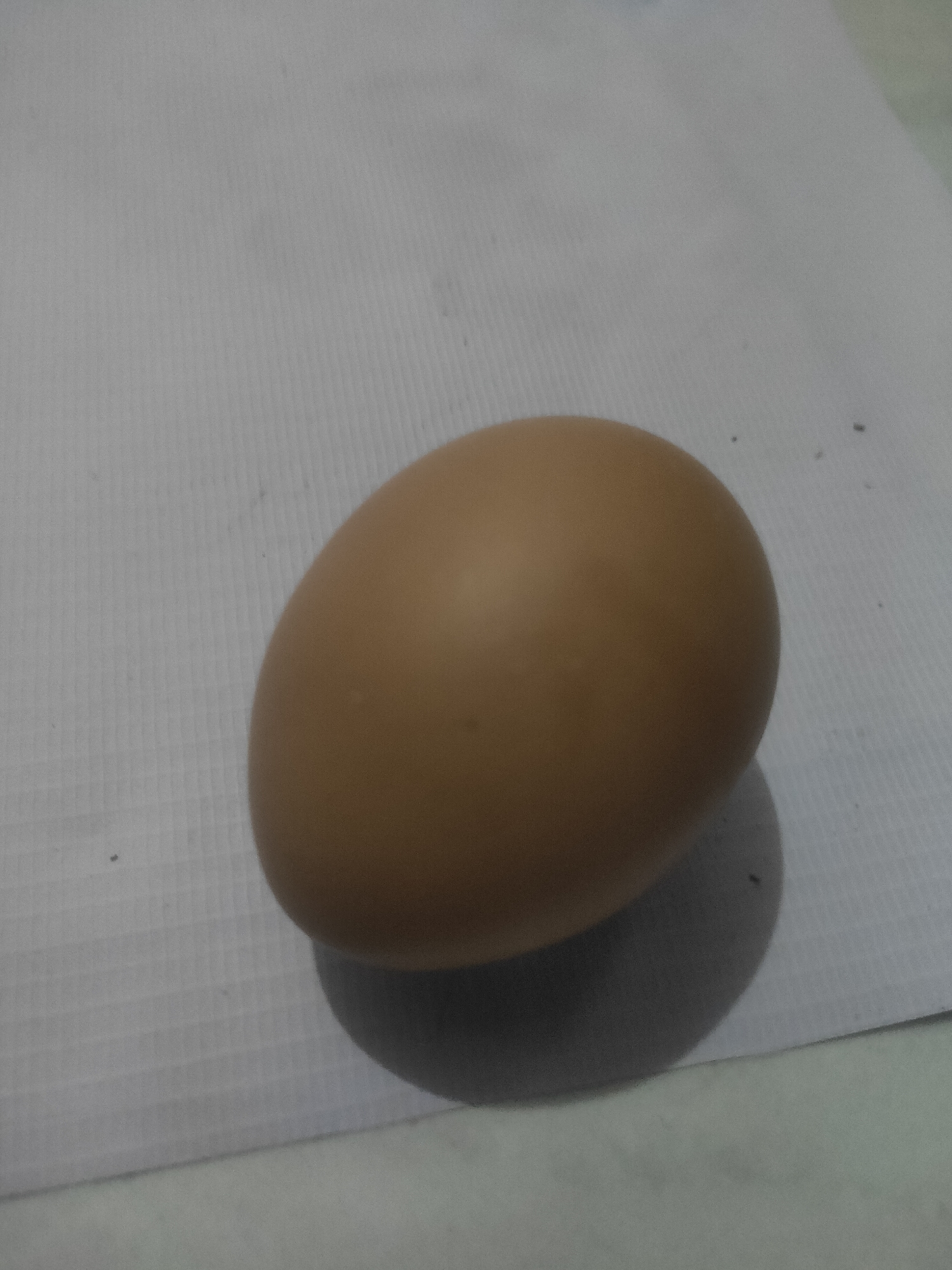 The image shows a single brown chicken egg resting on a white textured surface. The egg is positioned slightly off-center to the right, casting a shadow below and to the right. The background surface appears to be paper or a similar material with a faint grid pattern. There are a few small dark specks visible on the white surface, possibly dust or debris. The lighting appears to be coming from the left, highlighting the curvature and smooth surface of the egg. There are no people, actions, or interactions depicted in this image. The location in Antirogo, Indonesia is not determinable from the visual information provided in the image.