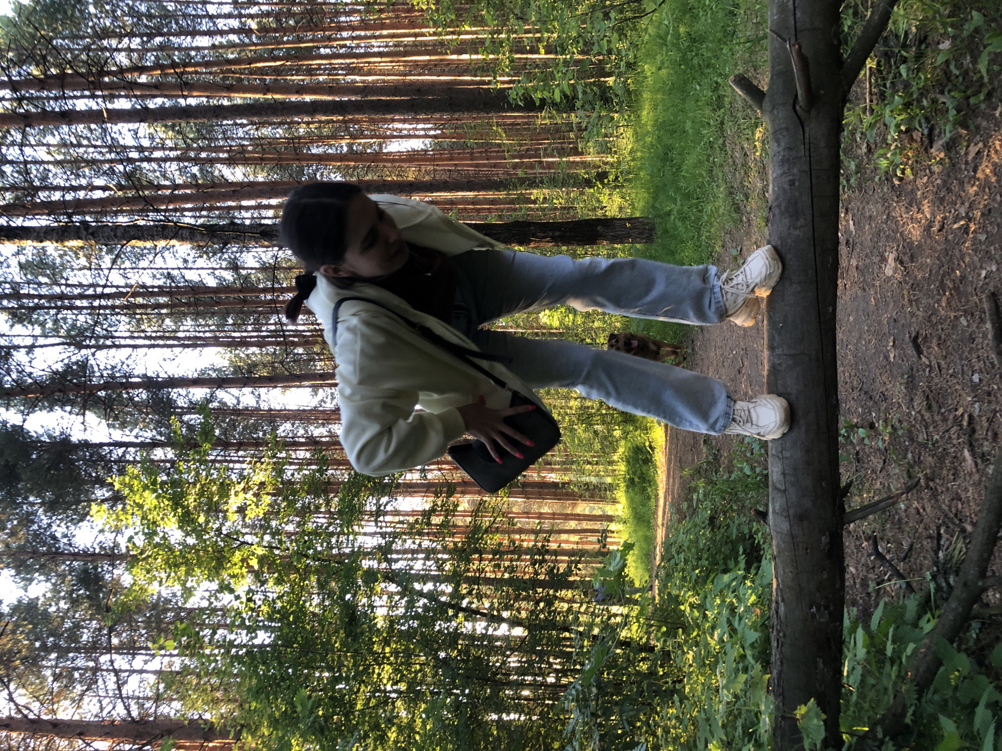 This image, taken in Chaikovsky, Russia, features a young woman posing in a sun-dappled forest. The photograph is oriented 90 degrees clockwise, showing the woman horizontally. She is captured mid-action, seemingly stepping over or balancing on a thick, fallen log with her right foot, while her left foot remains on the forest floor. She is dressed in a light-colored jacket or sweatshirt, light blue jeans, and white sneakers, with a black shoulder bag slung across her body. Her dark hair is pulled back, and she is looking downwards.
The setting is a dense pine forest, characterized by numerous tall, slender tree trunks that create a strong vertical pattern in the background. Bright green foliage and undergrowth are abundant, particularly in areas where sunlight penetrates the canopy. Warm, golden light filters through the trees, casting long shadows and indicating that the photo was taken during the late afternoon or "golden hour." A dirt path or trail is visible in the background. A small, dark-colored dog is partially visible near the woman's left foot in some of the provided crops, suggesting a companion on her outing. The scene conveys a peaceful and natural atmosphere, typical of a leisurely walk or outdoor activity. No visible text is present in the image.