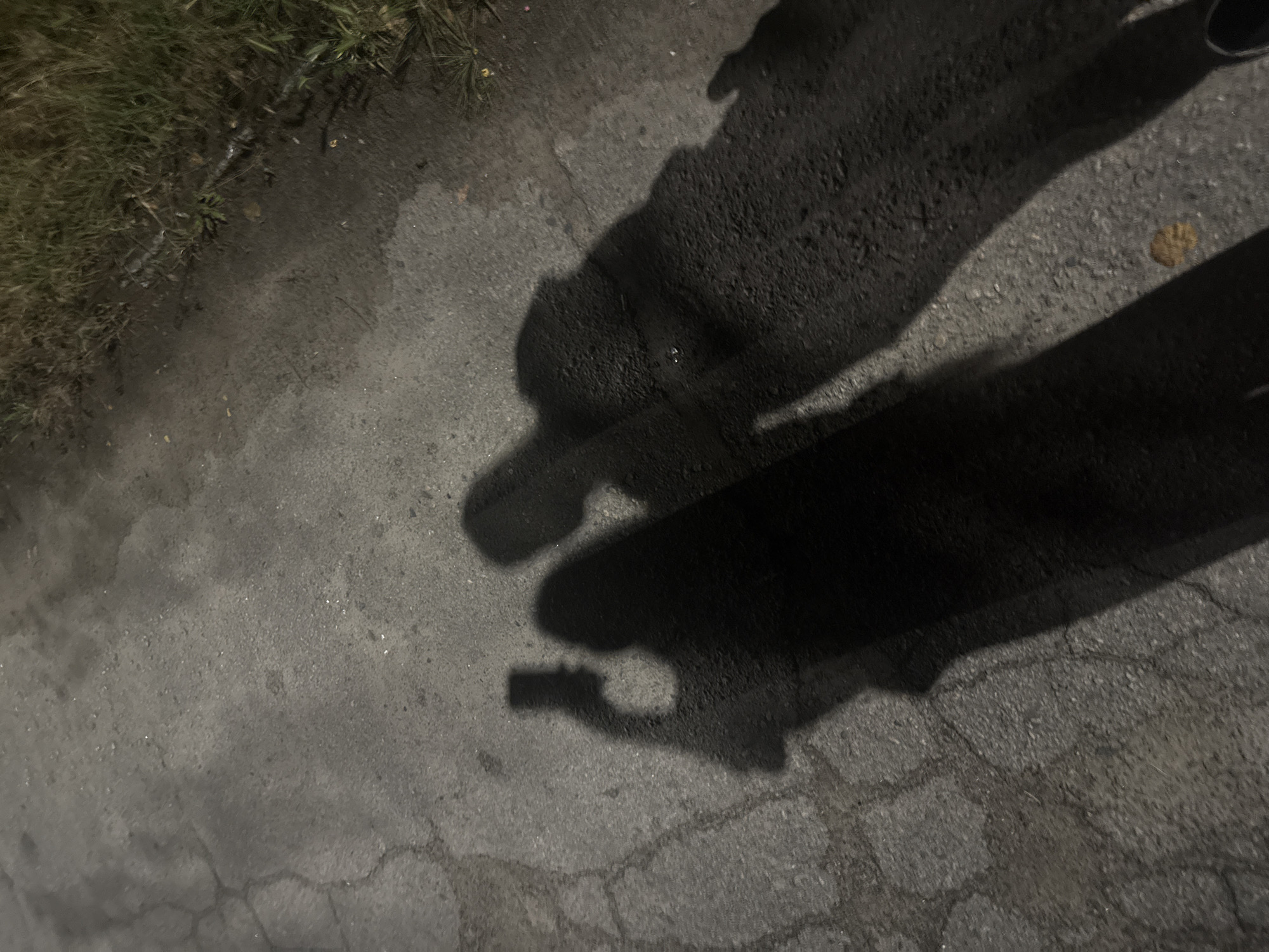 This is a low-angle, high-contrast photograph taken at night of shadows on a paved surface. The paved surface appears to be asphalt, showing cracks and some scattered debris. To the right, a strip of dry grass and dirt is visible along the edge of the paved area. The shadows suggest the presence of at least two people, with one shadow holding a smartphone, indicating a selfie is being taken. The overall lighting suggests an outdoor, possibly urban environment at night, consistent with a street or pathway in Dnipro, Ukraine, given the provided context.
